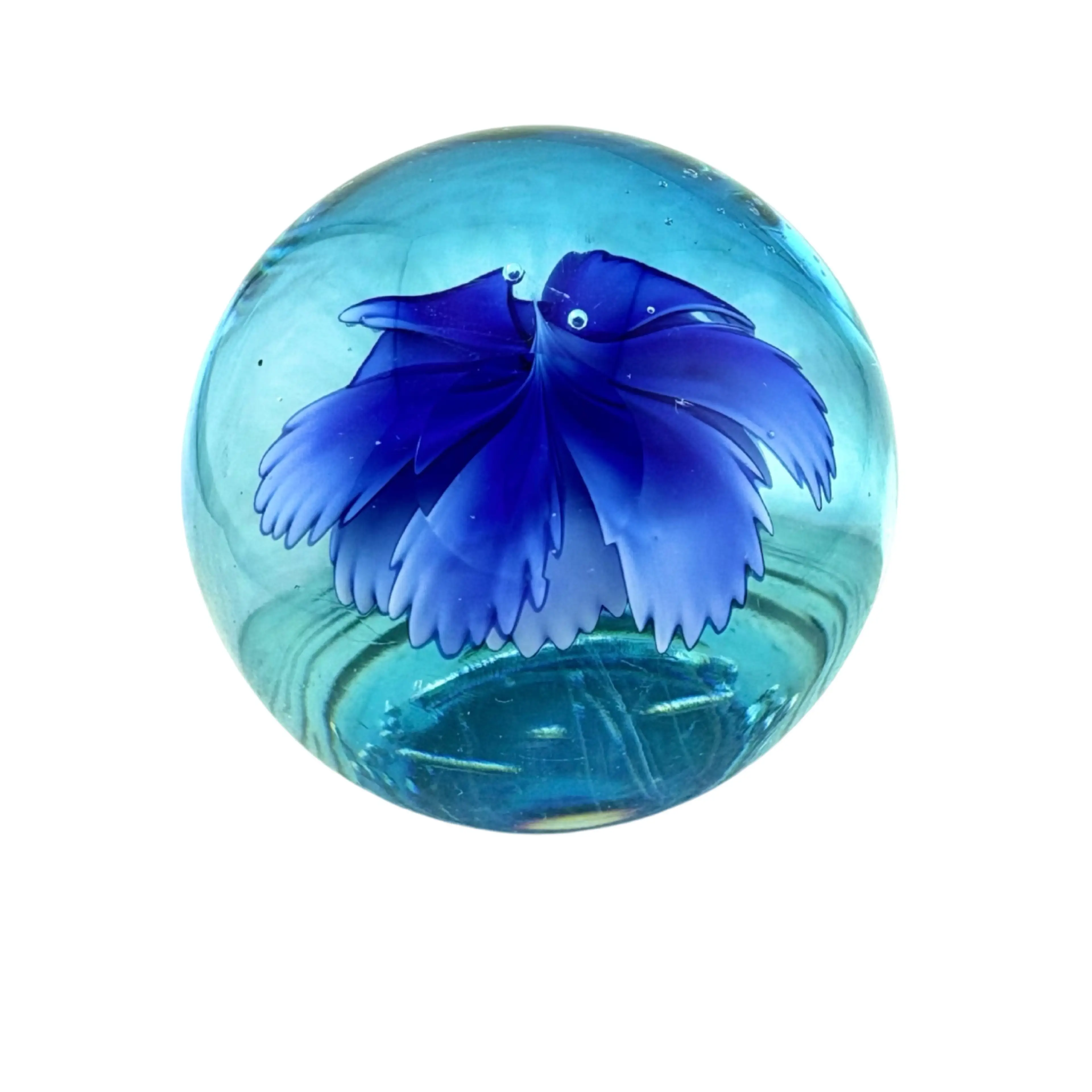 Image 2 of 12