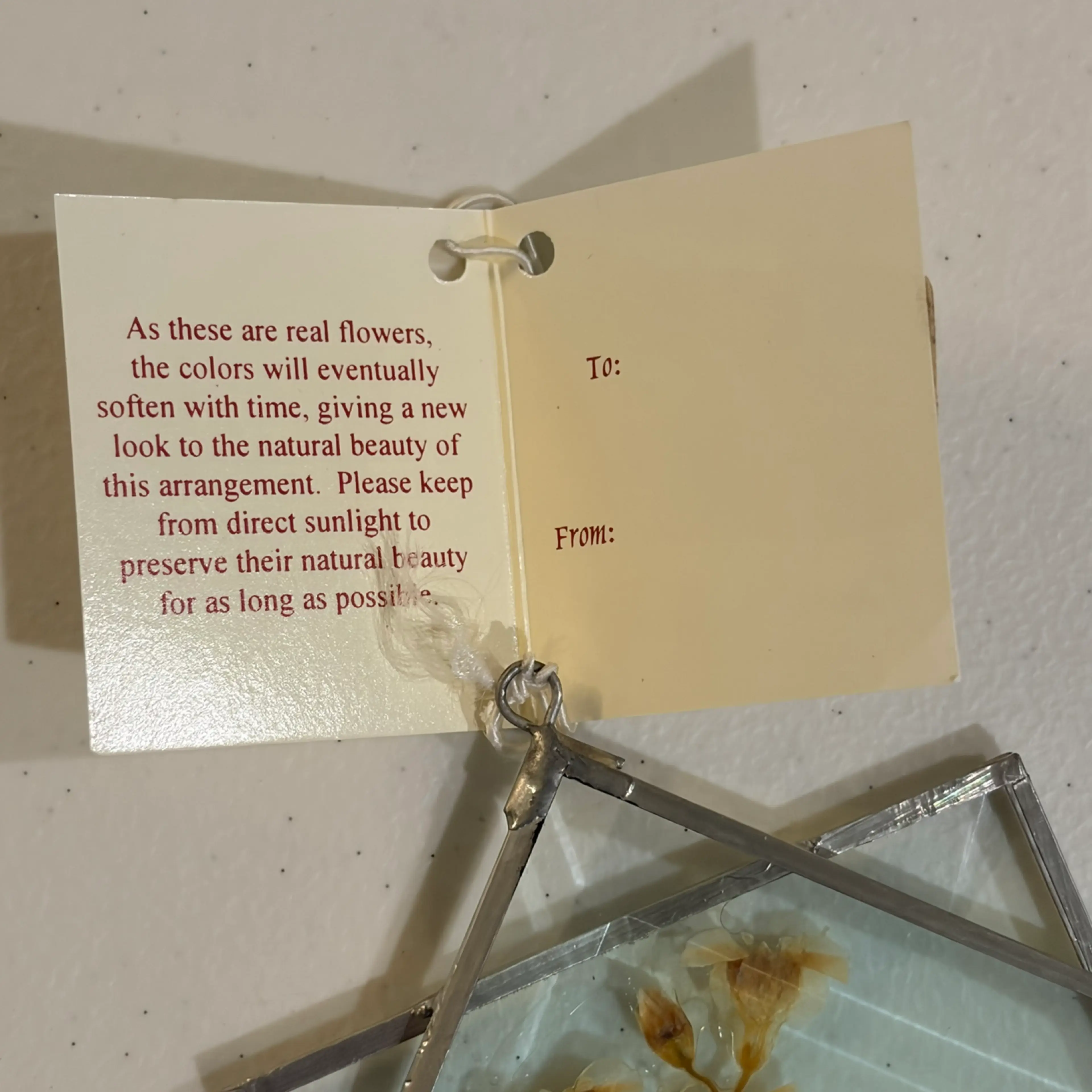 Image 4 of 6