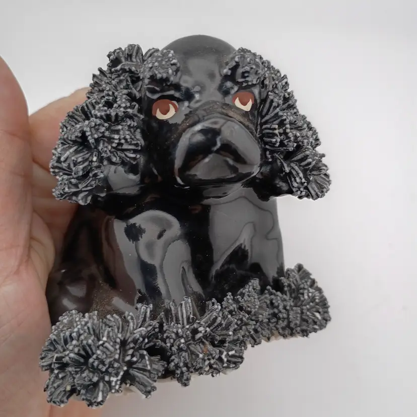 Spaghetti dog -- spaniel?