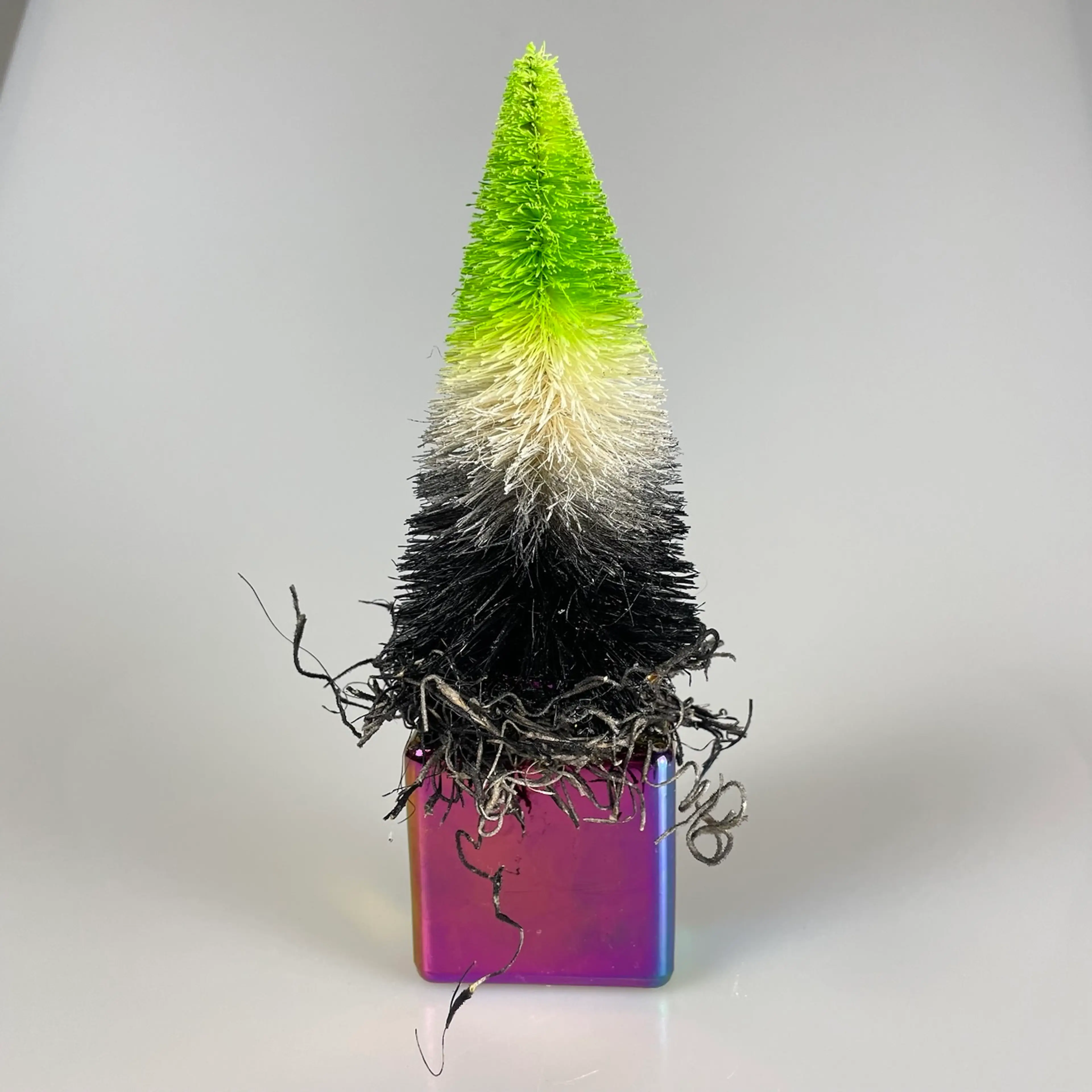 Image 3 of 6