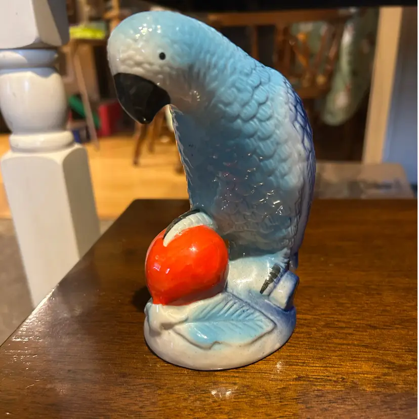 Beautiful Blue Parrot