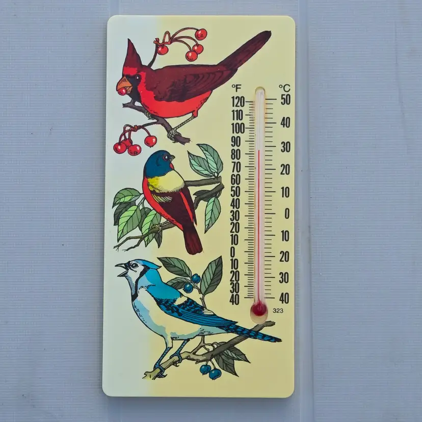 ArtLine Birds Thermometer Temperature Plastic - Cardinal, Blue Jay & Painted Bunting