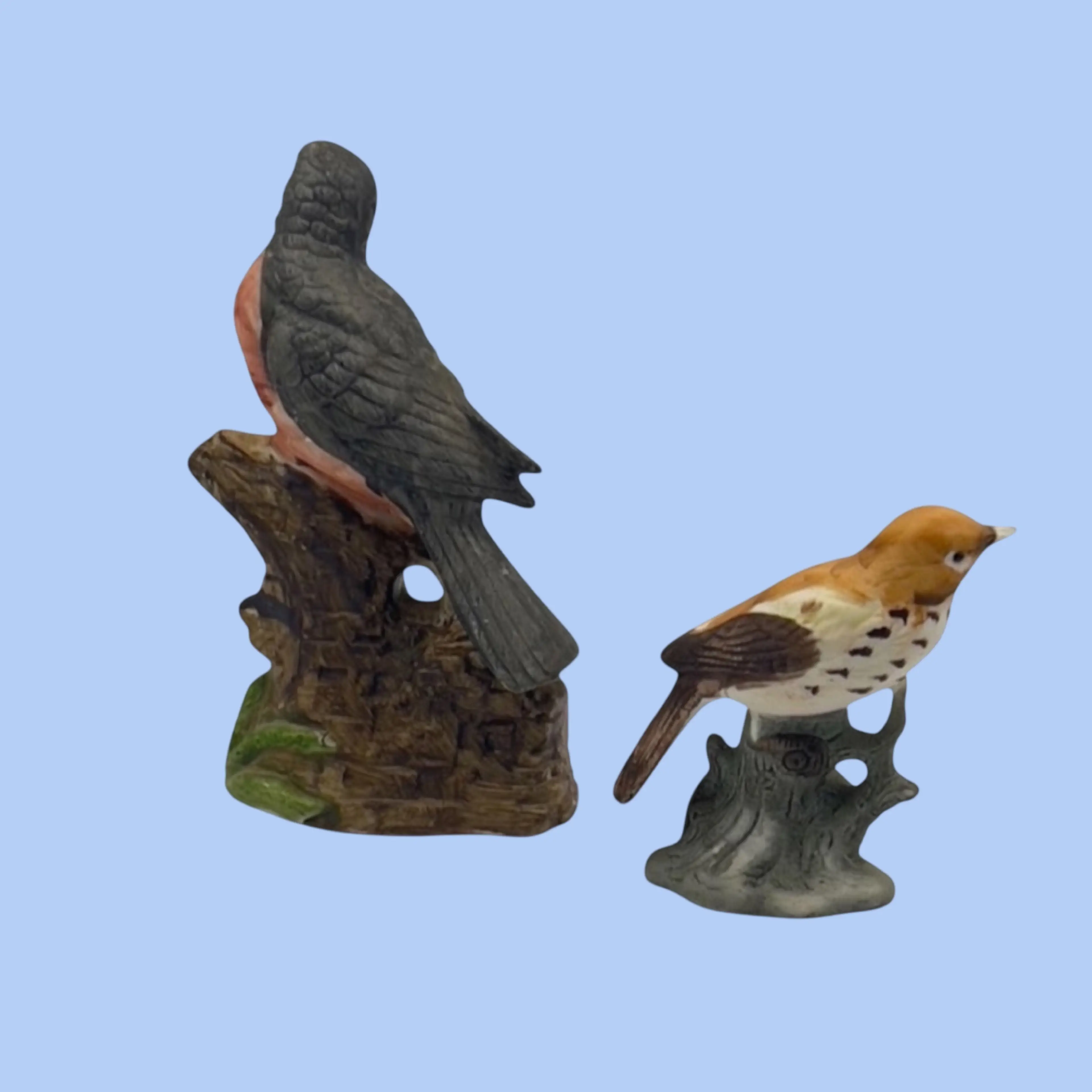 Image 2 of 8