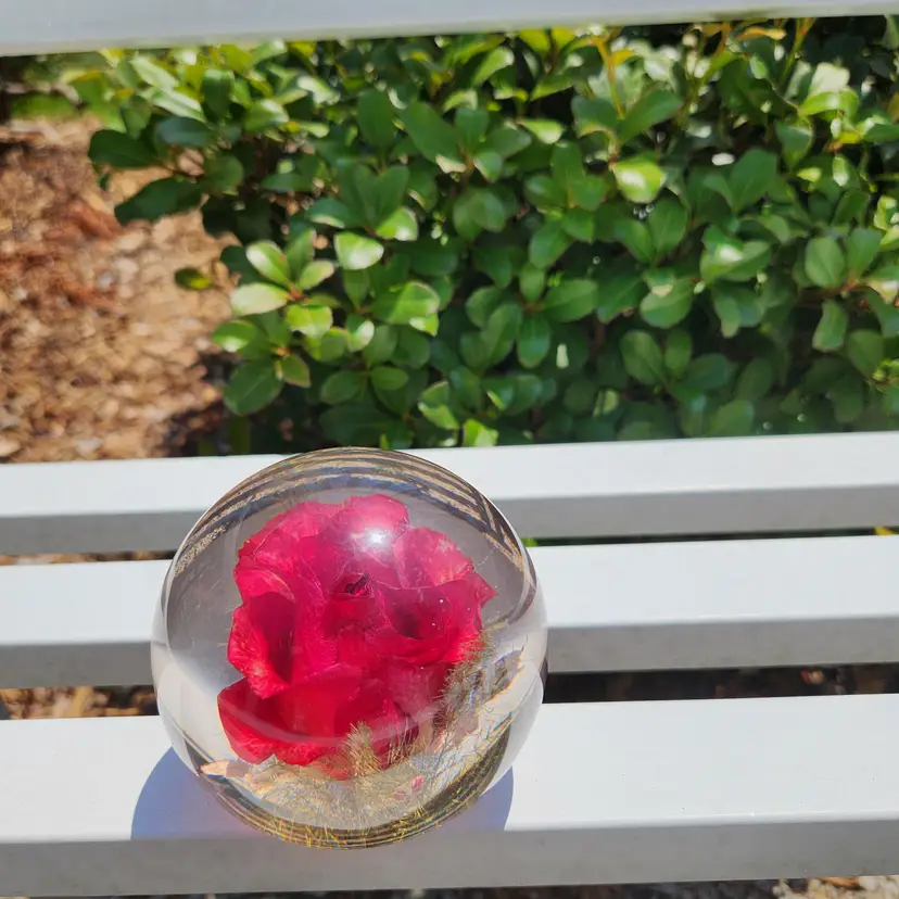 Rose Paperweight (resin?) W/Real Preserved Rose- Hafod Grange 1989-3"