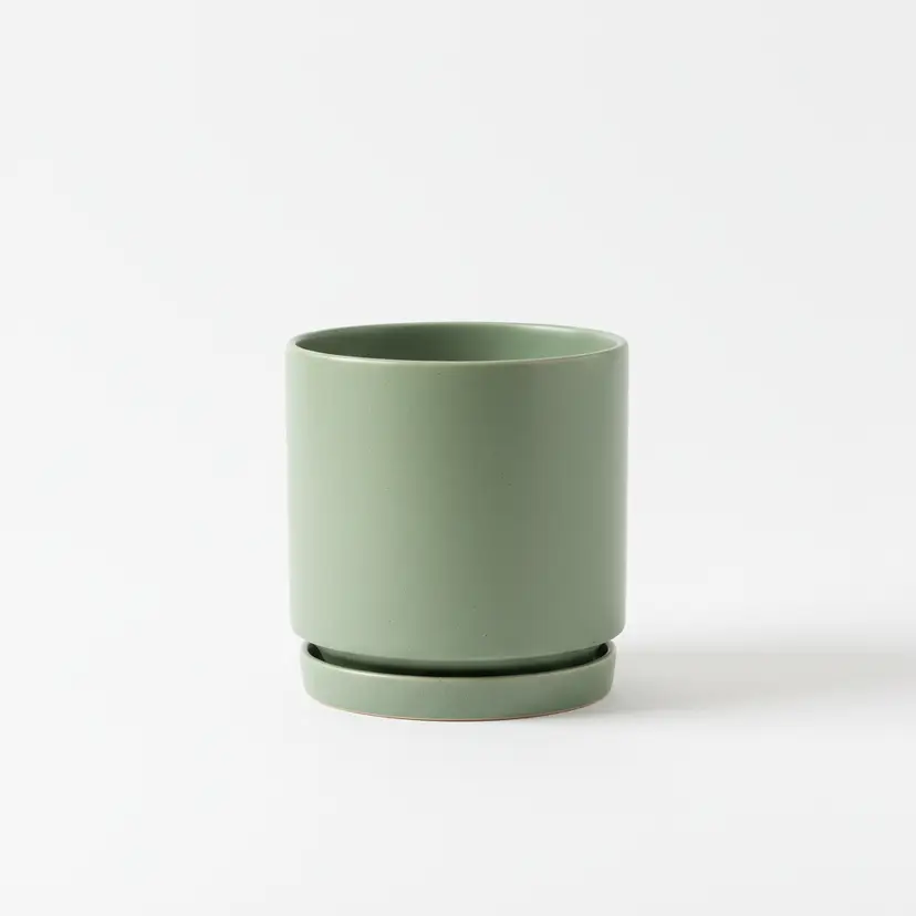 Indoor Plant Pot - Buy Now with Offers