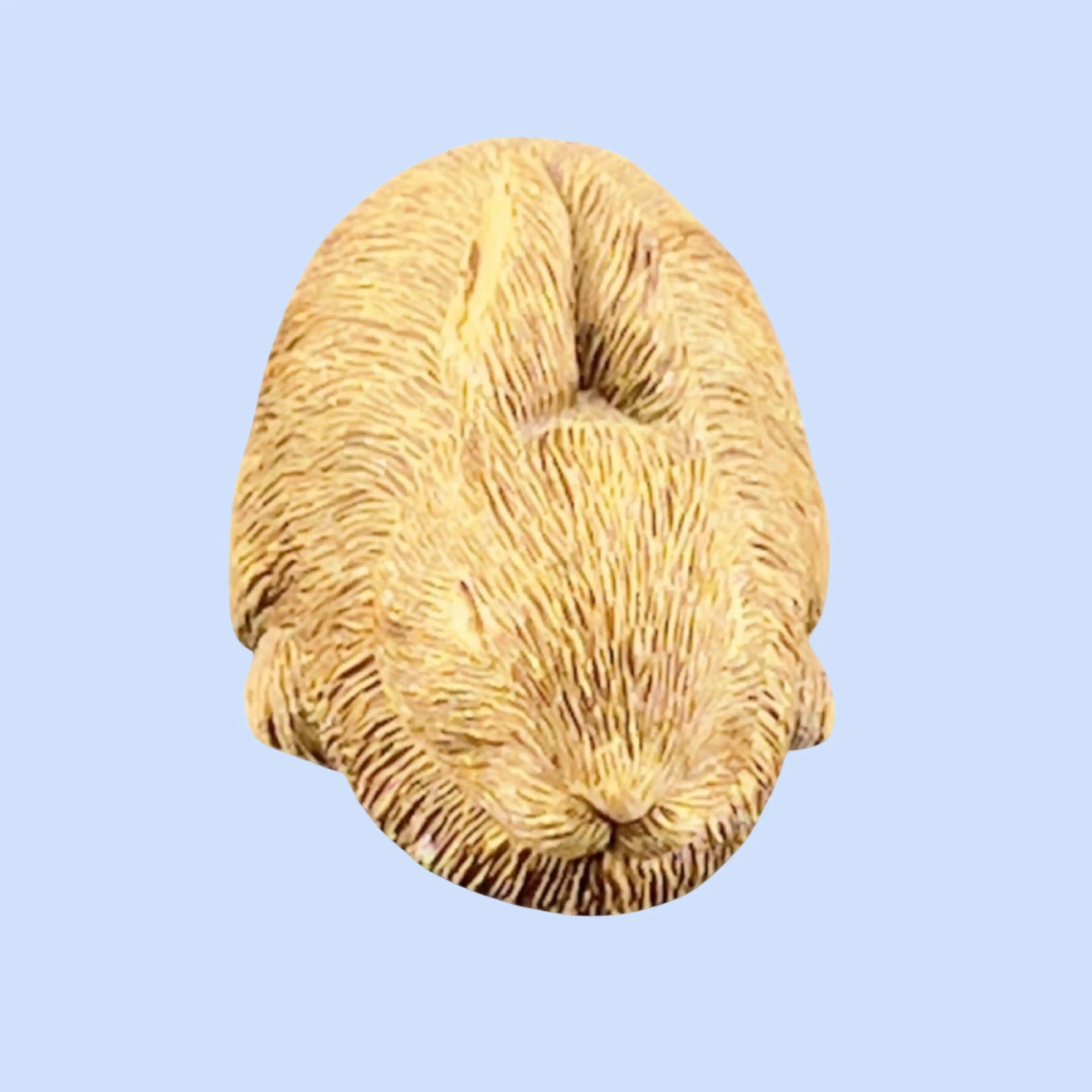Image 2 of 9
