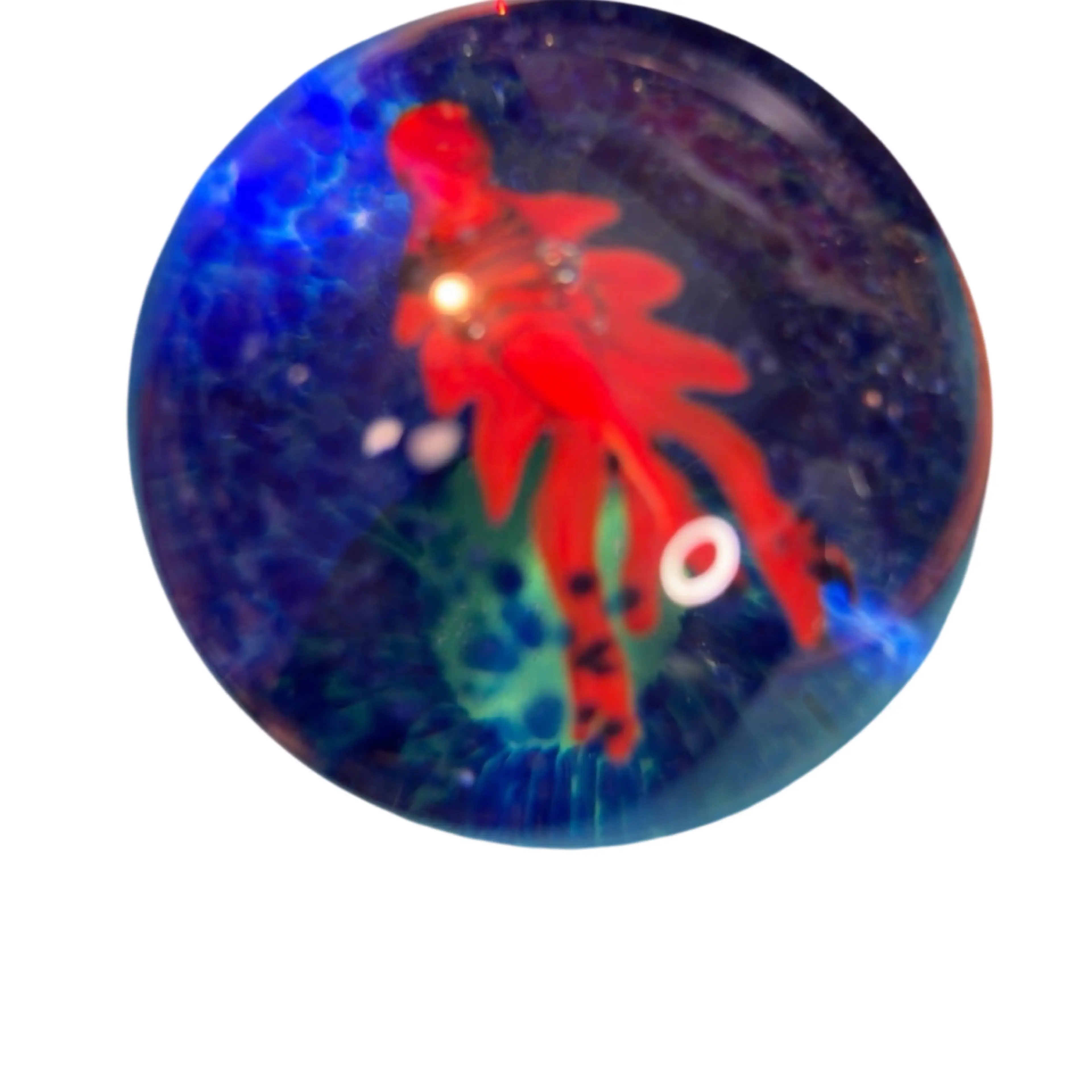 Image 1 of 7