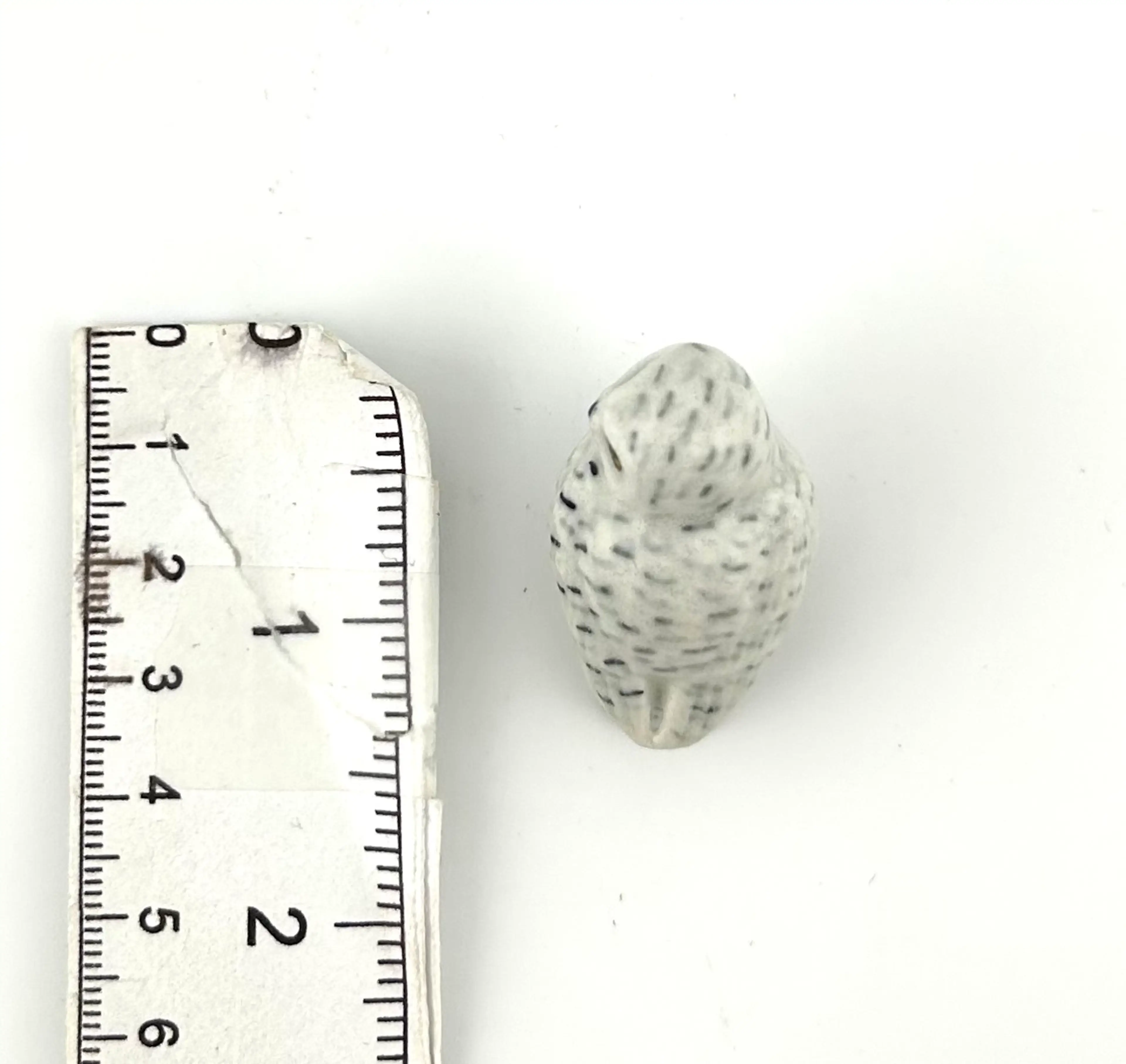 Image 5 of 8