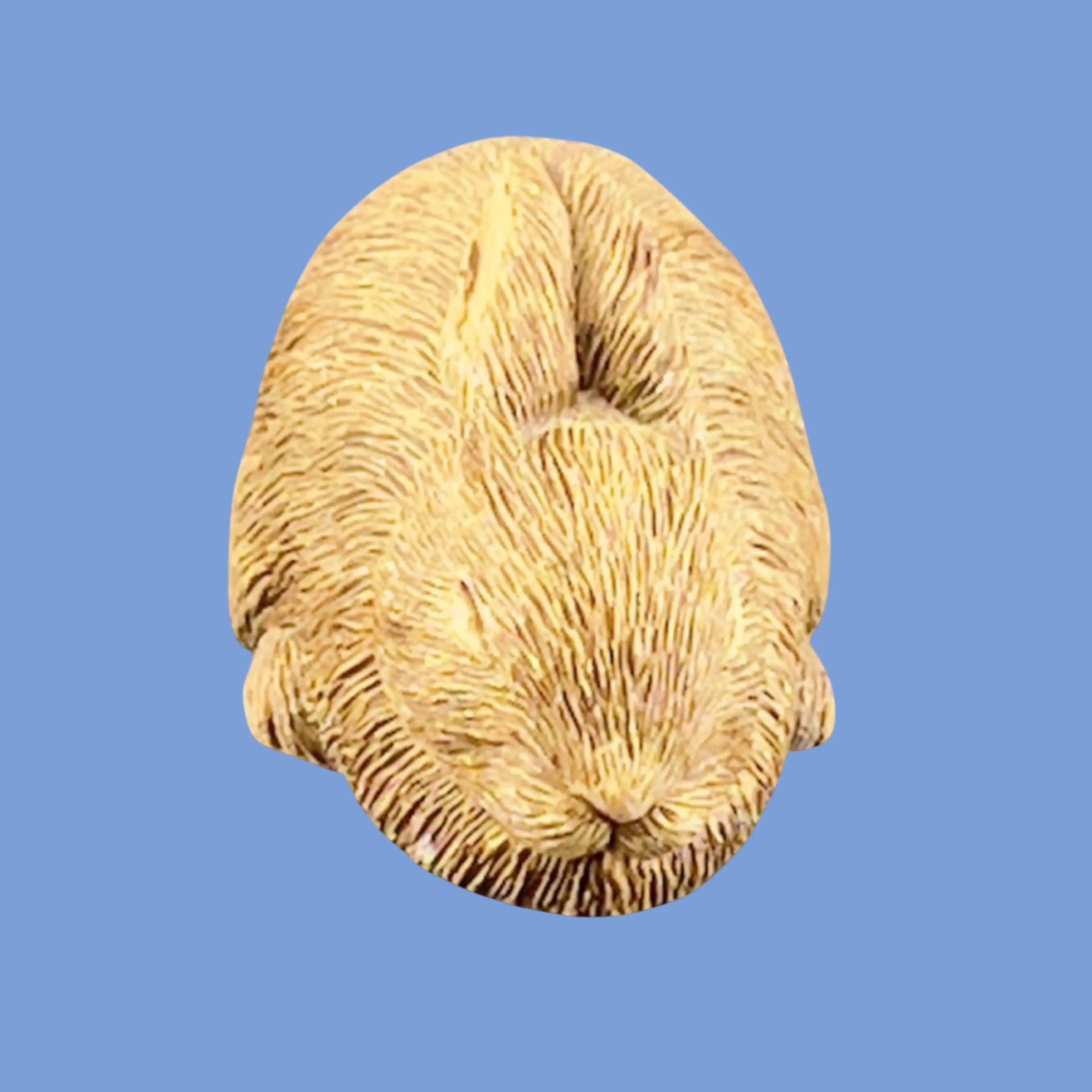 Image 2 of 9