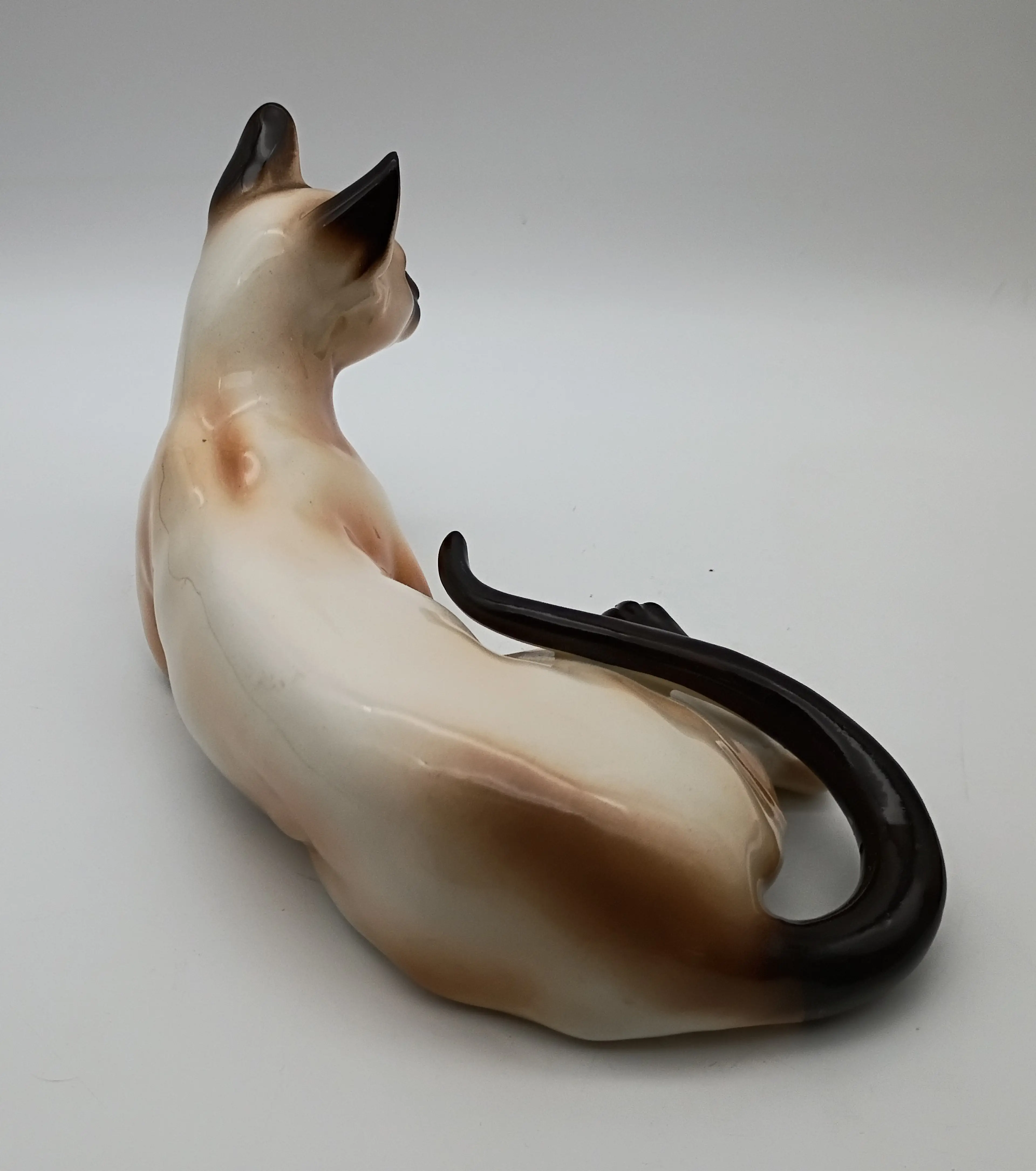 Image 3 of 14