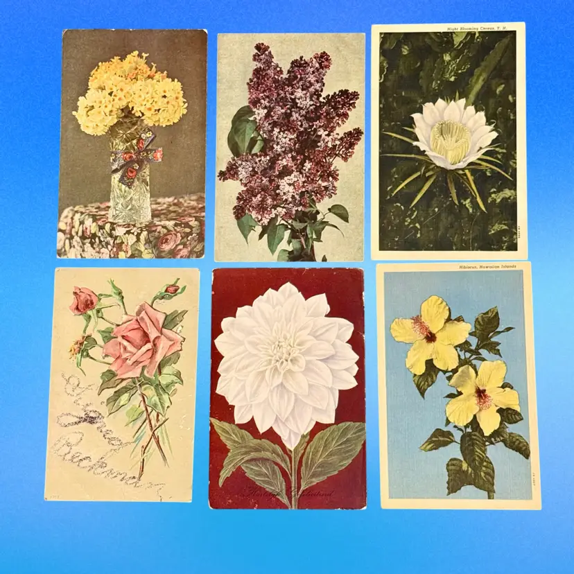 #1 Floral Craft Lot/6 Vintage Floral DB Postcards, Unposted