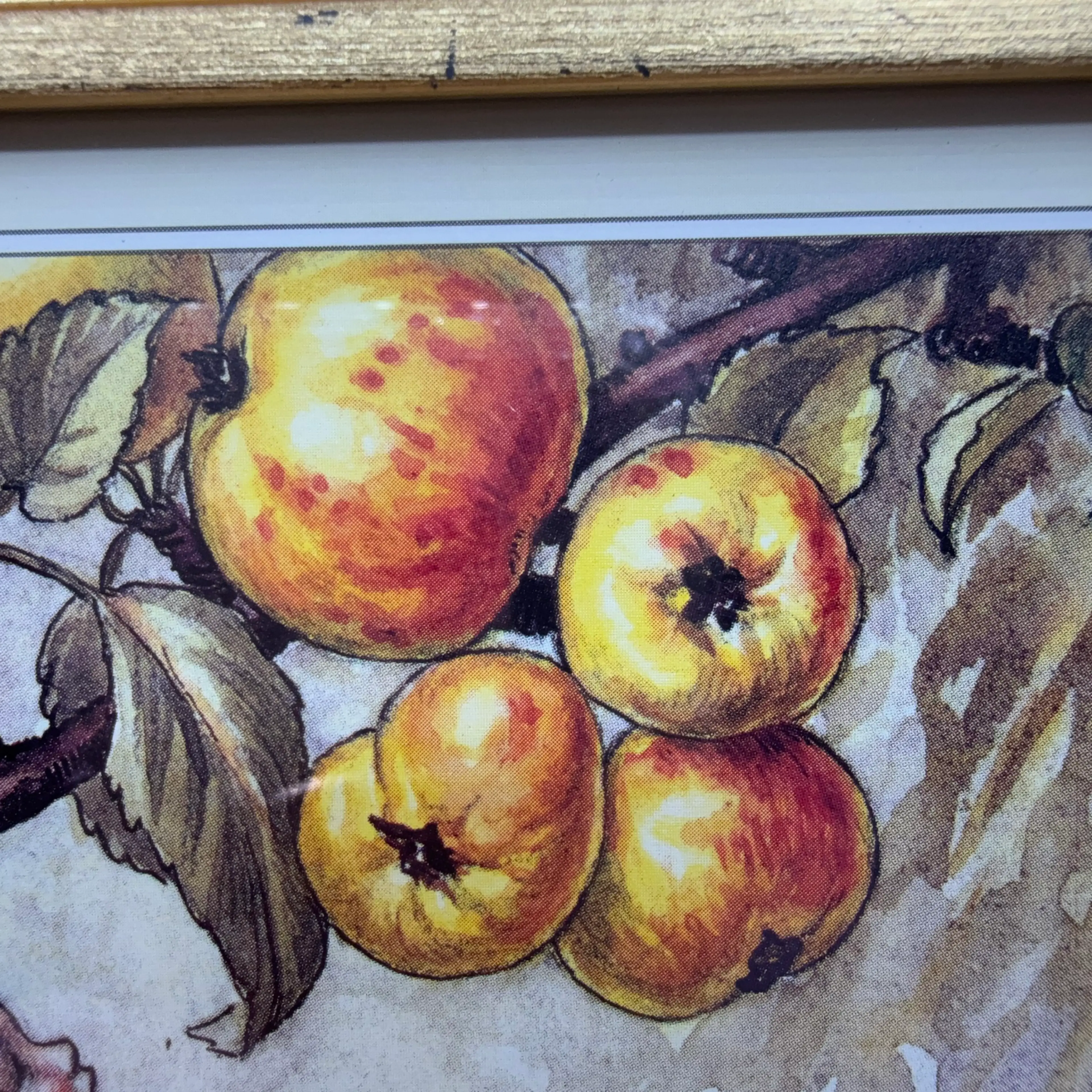 Image 3 of 4