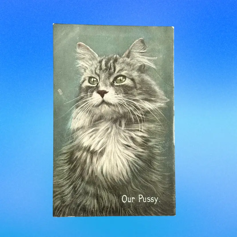 Antique Fluffy Grey Tabby Green Eyes “Our Pussy” Saxony DB Postcard, Unused