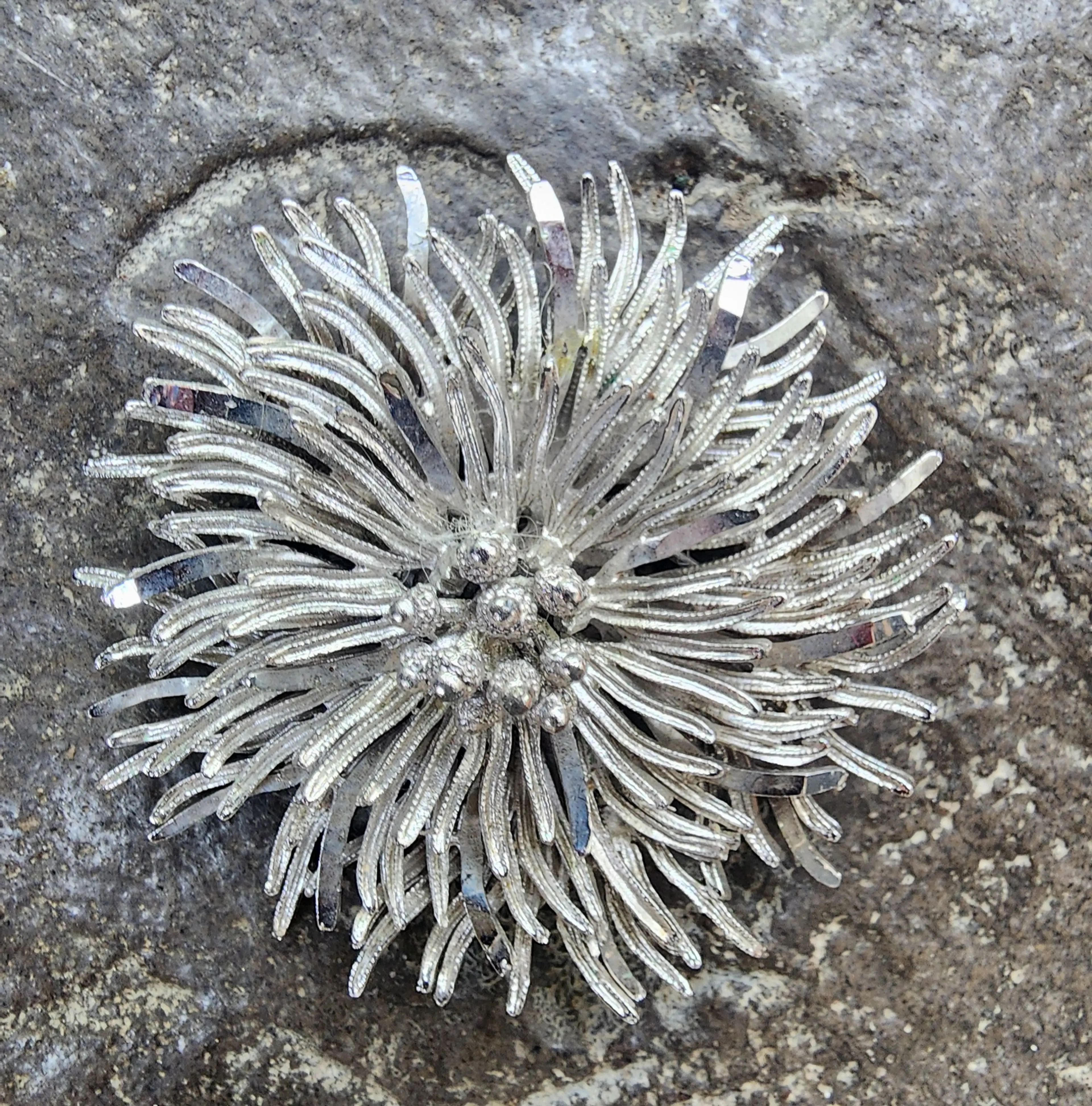 Image 4 of 14