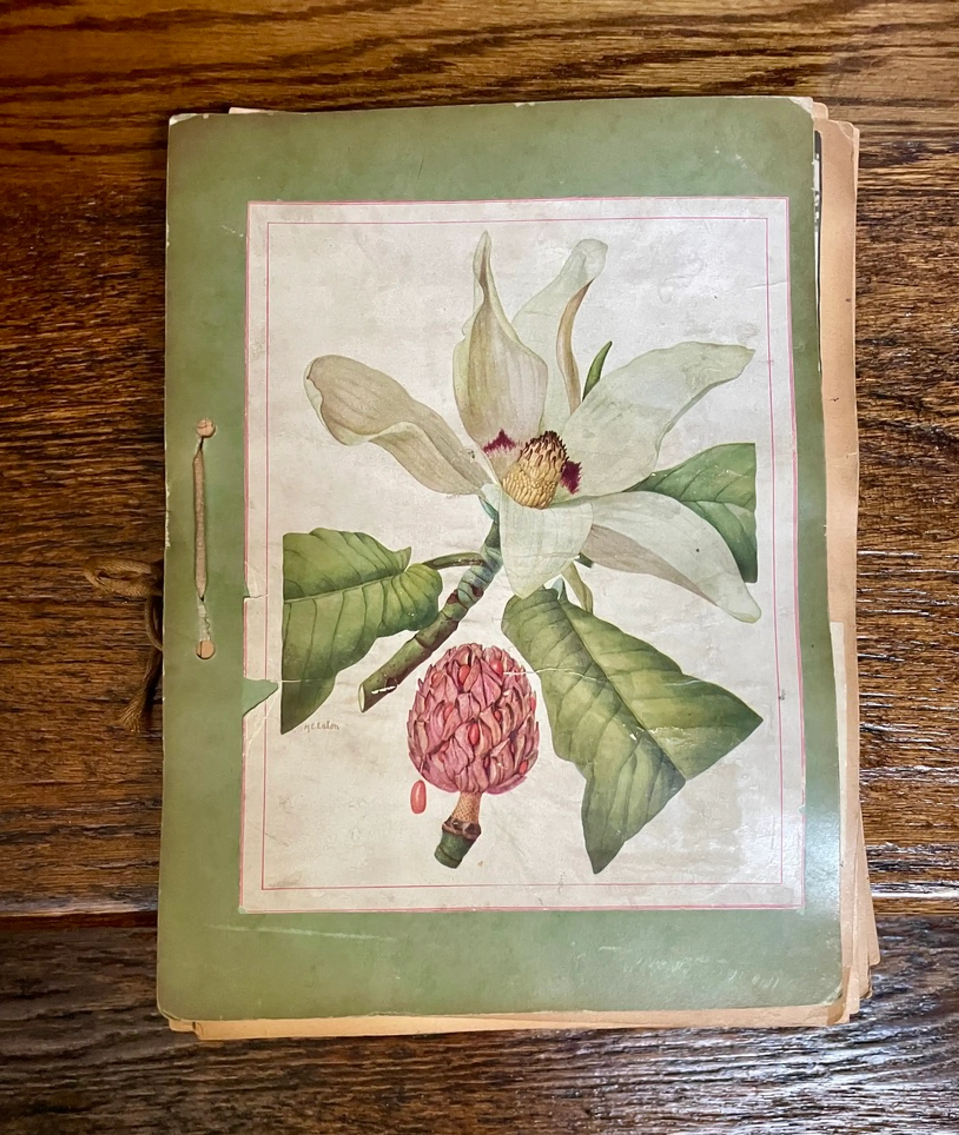 Image 1 of 10