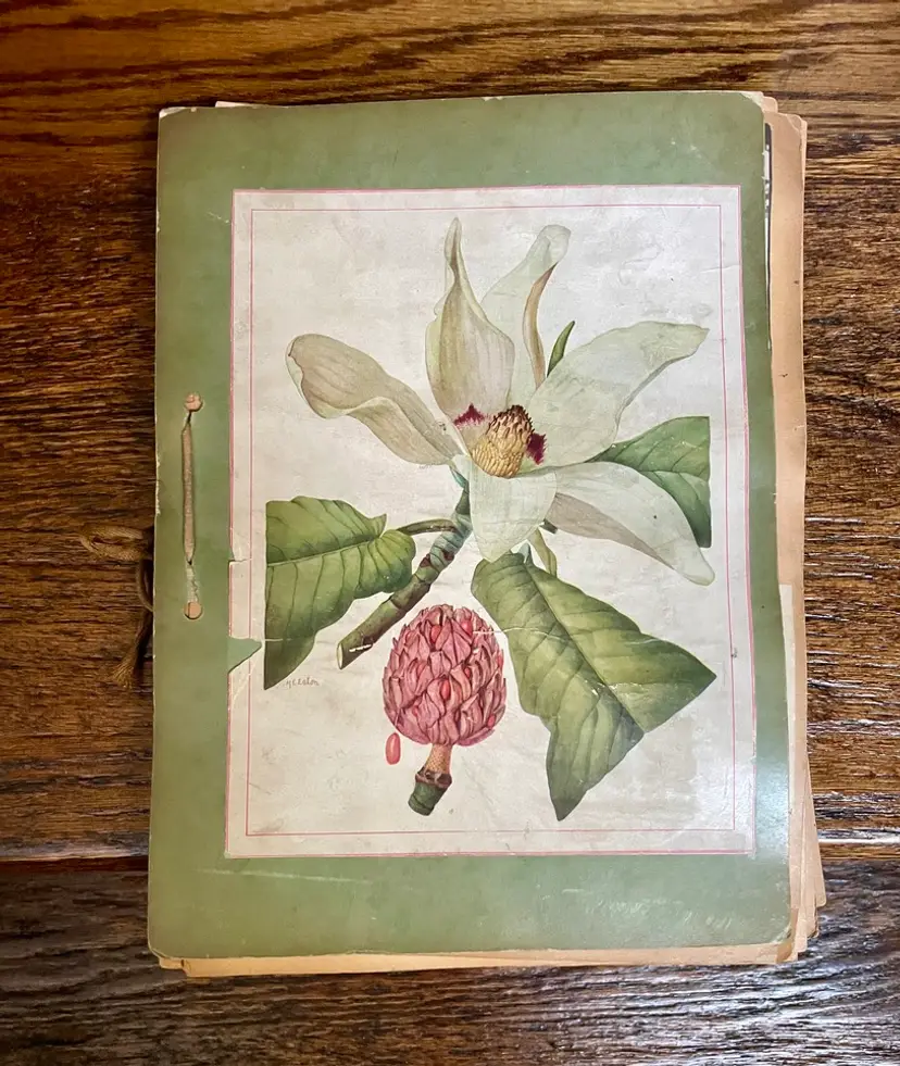 Ephemera Scrapbook Collection of "Henry" Cartoons by Carl Anderson + British Royal Trading Cards