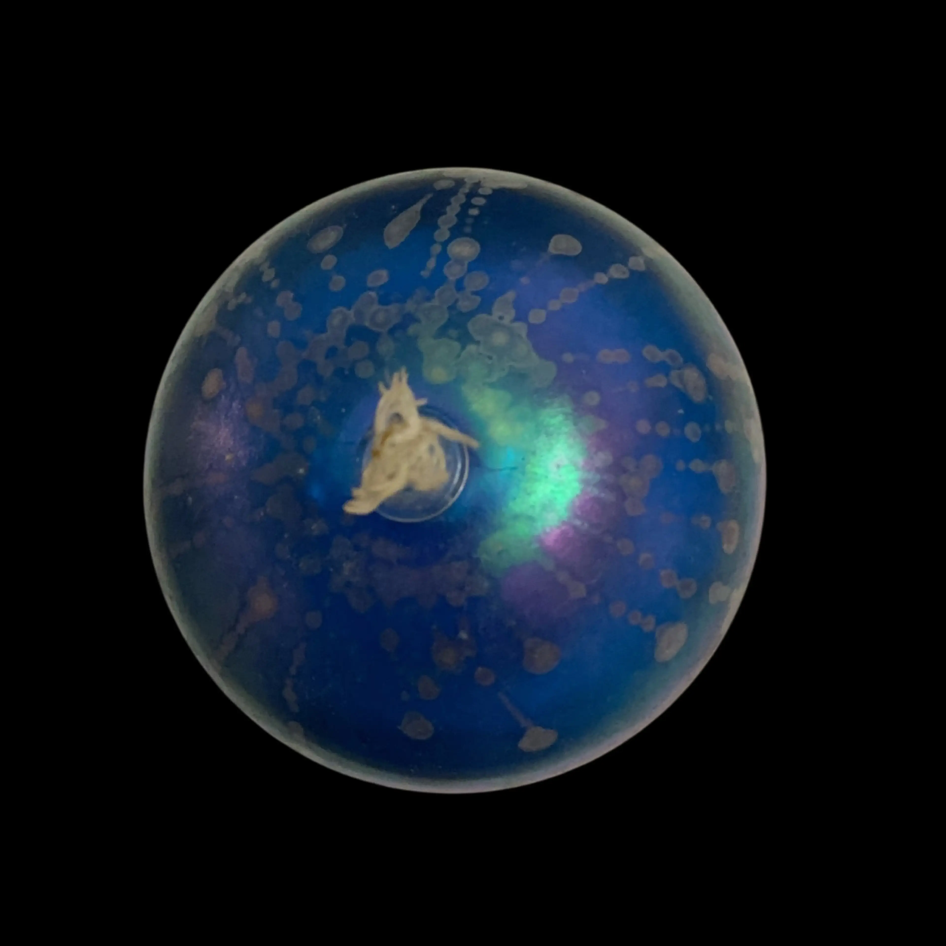 Image 5 of 6