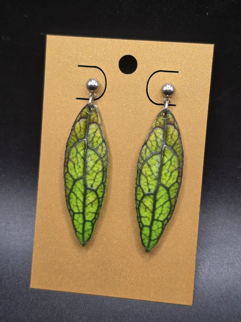 Callistophylla Borneo Earrings