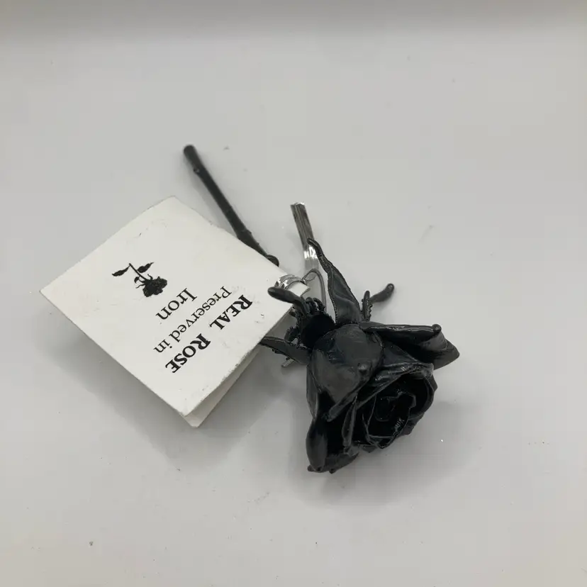 Real Rose Preserved In Iron! 4 1/2” Long!