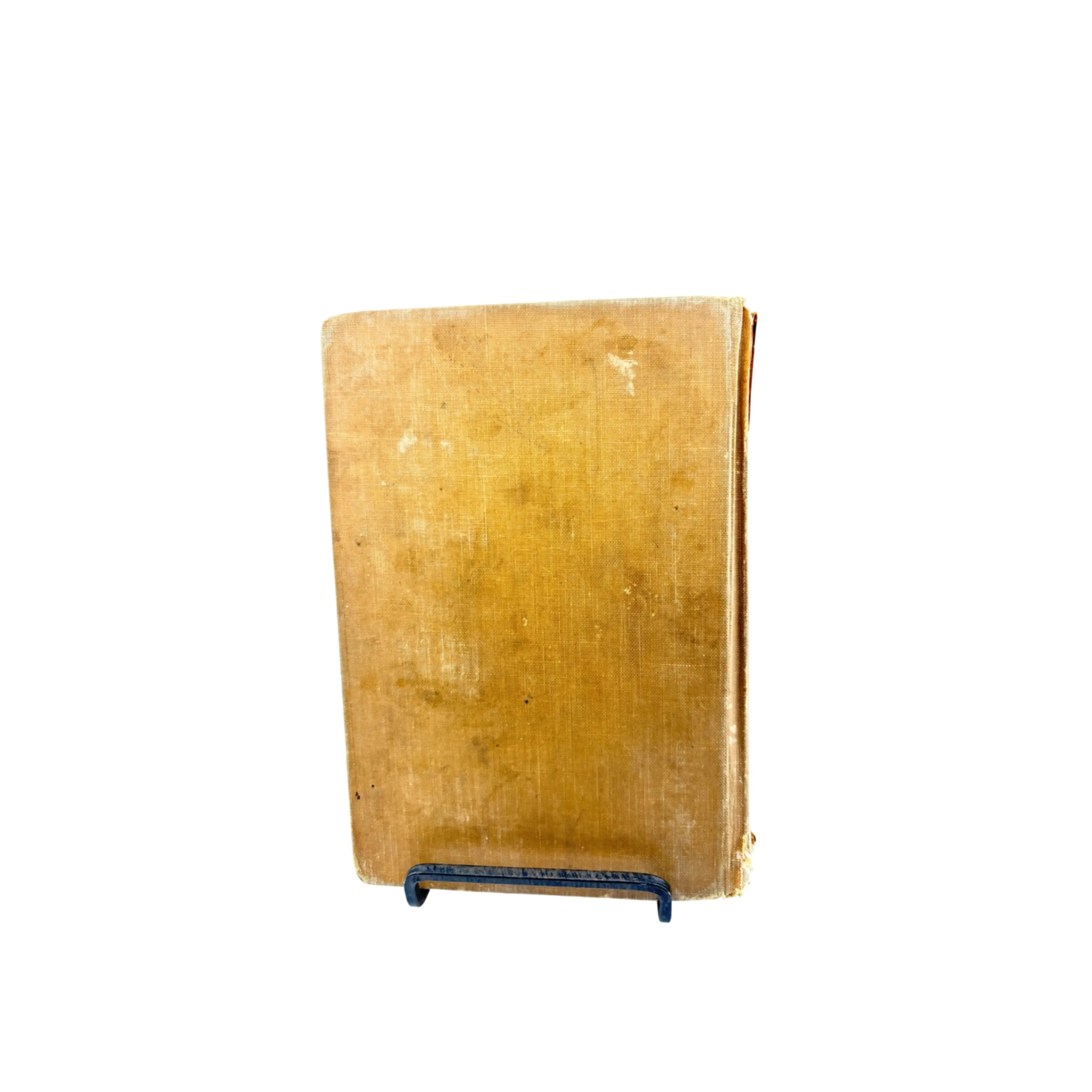 Image 2 of 10