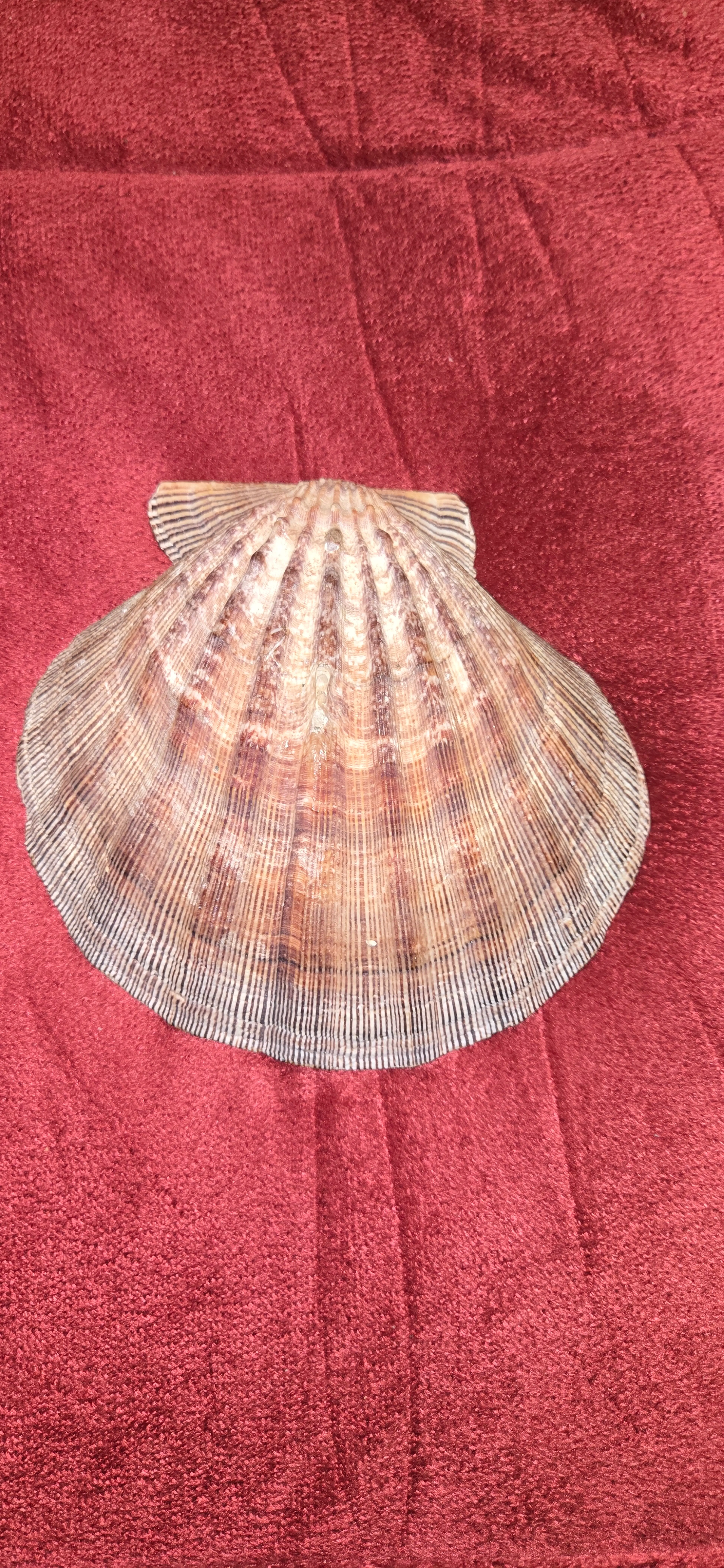 Image 4 of 4