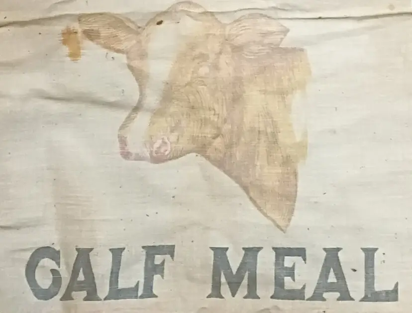 Early 1900’s Sugarota Calf Meal Feedsack ~ Cloth 25 lbs Bag ~ Winona Minn