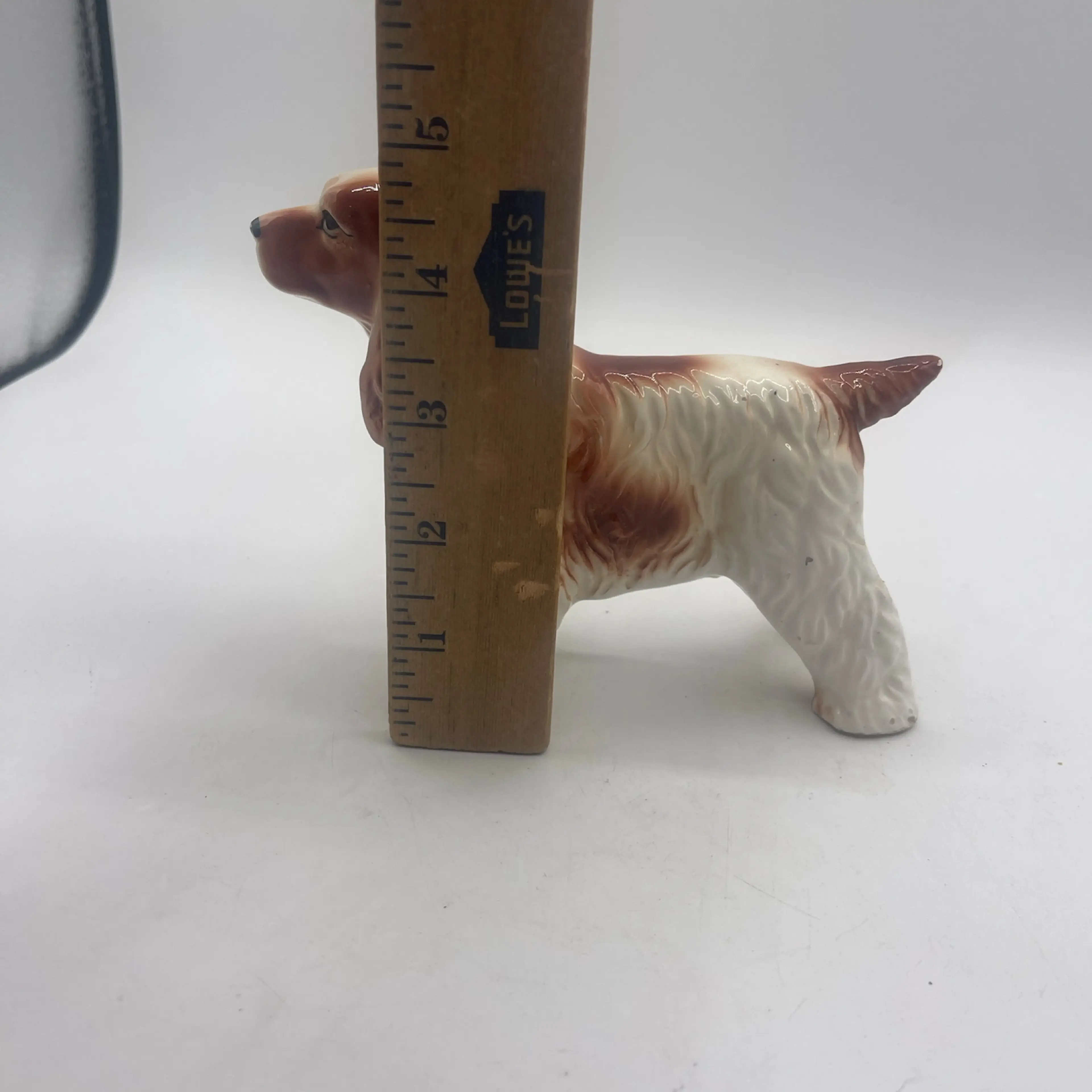 Image 4 of 5