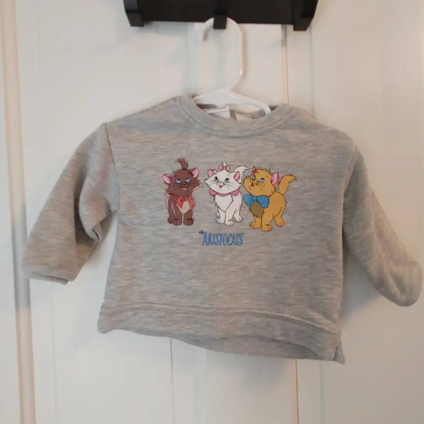 Kids- Brand: Zara Baby Disney. Size 3-6 months. Aristocats sweatshirt- Cats. Material- Unknow. No callouts.