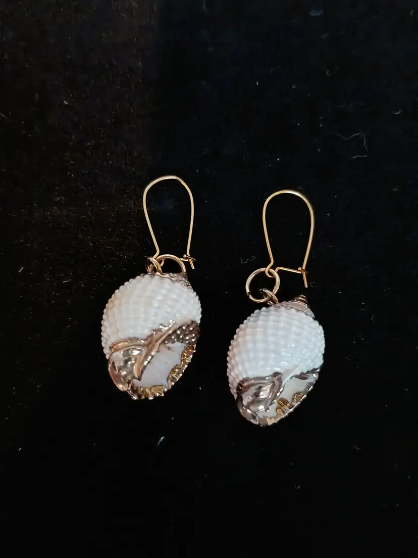 Gold Gild Real Spiral Edged Seashell Dangle Kidney Wire Earrings 1" Long