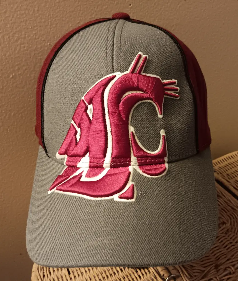 vintage Washington State Cougars Cap American Needle oversized 3D logo football