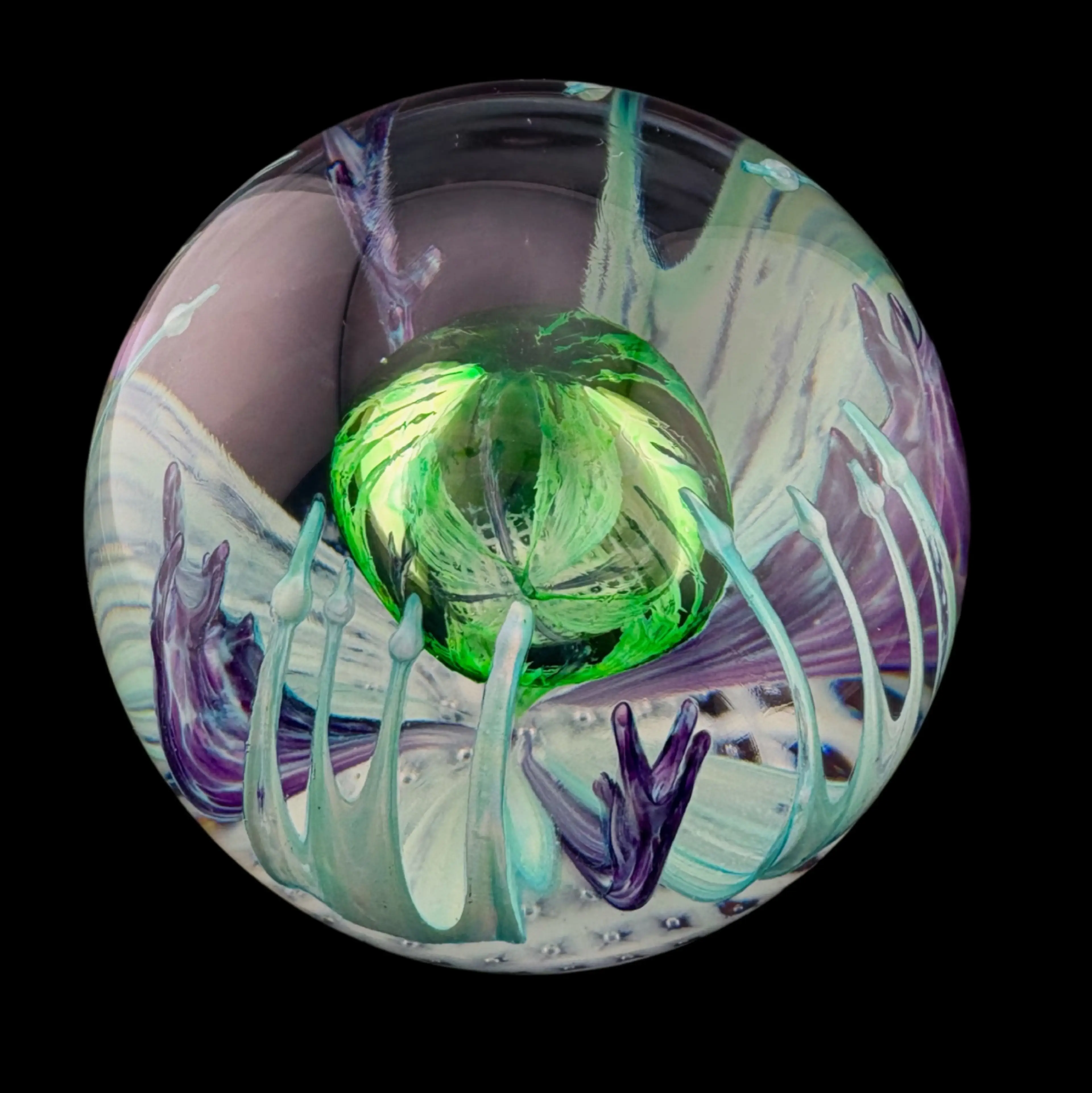 Image 3 of 13