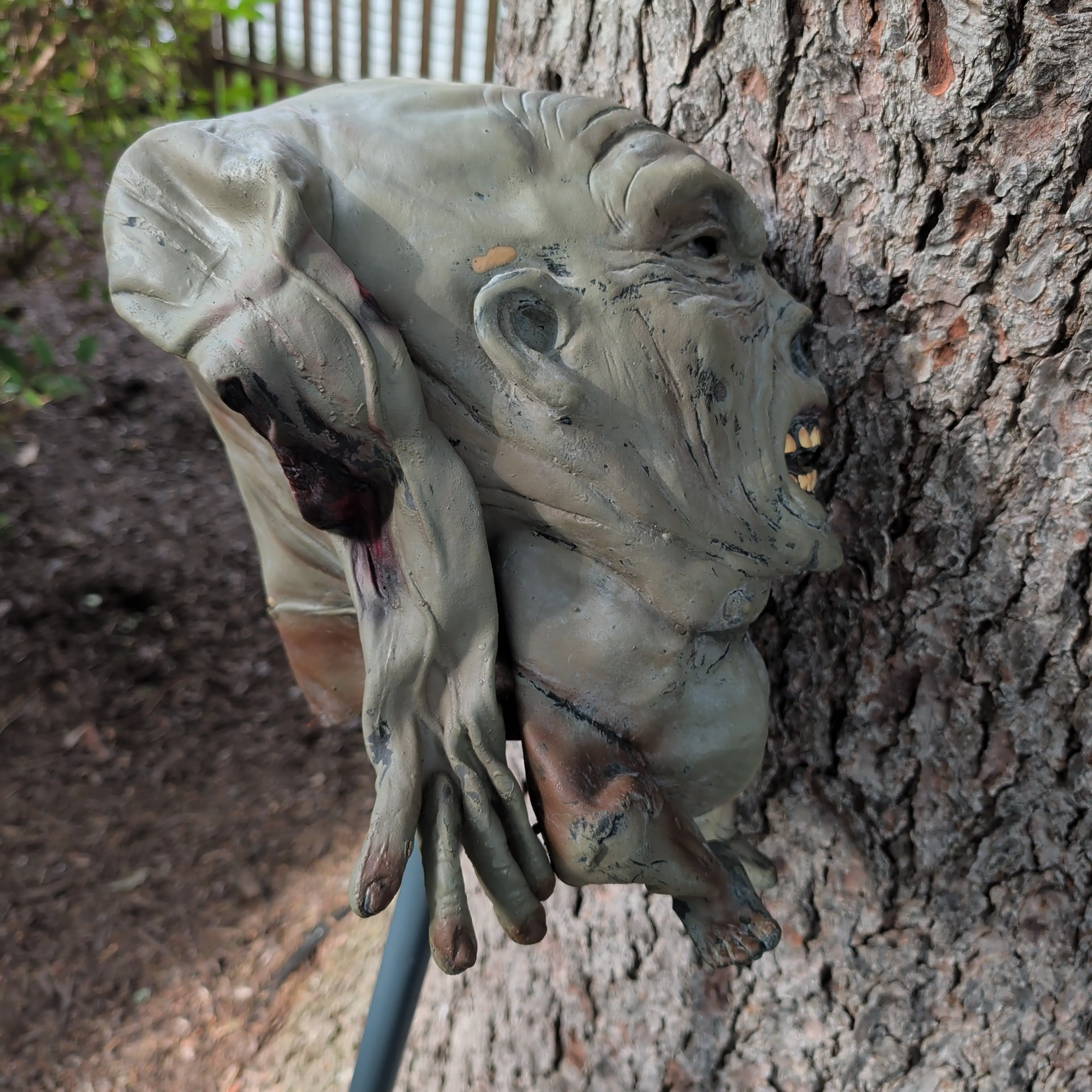 Image 5 of 7