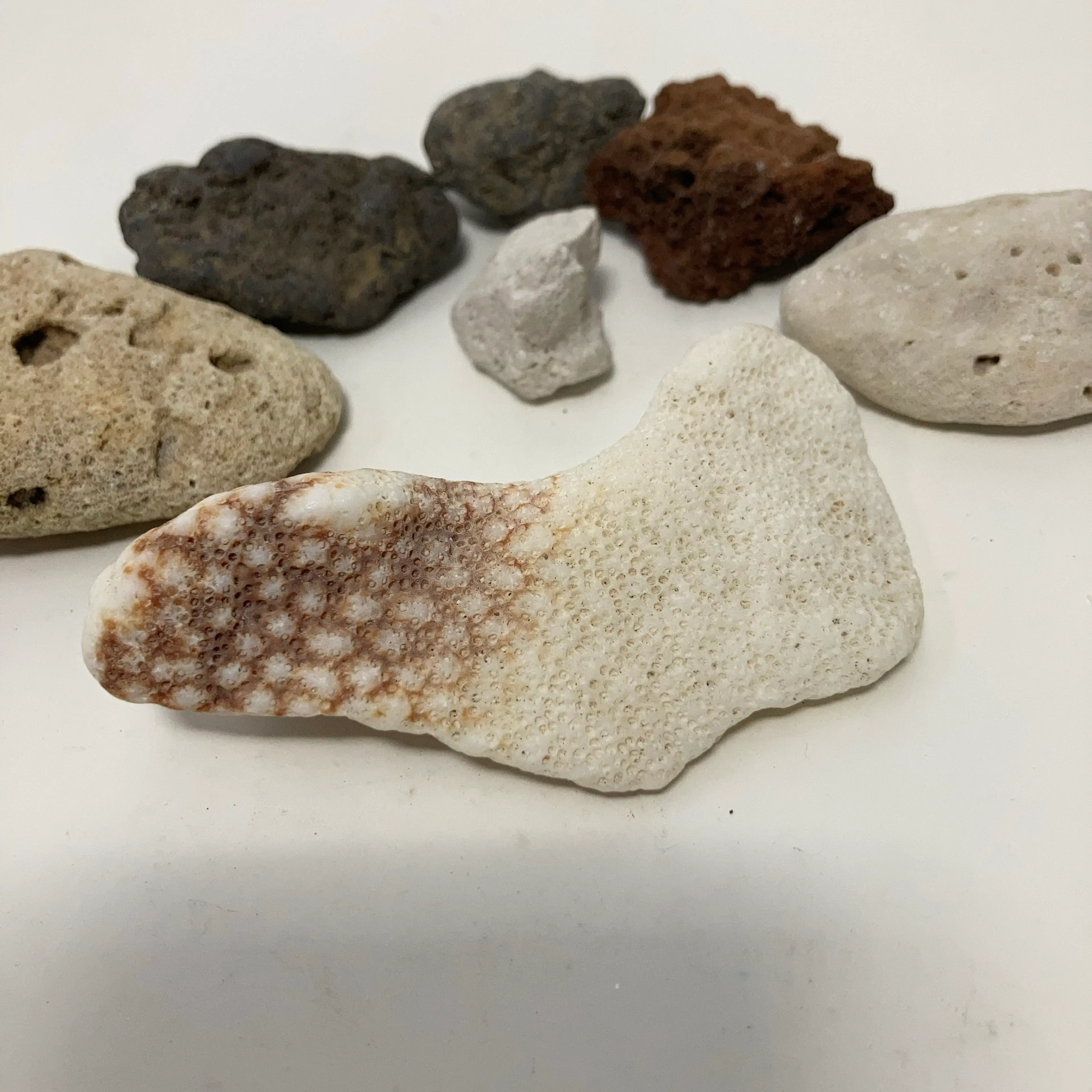 Image 2 of 12