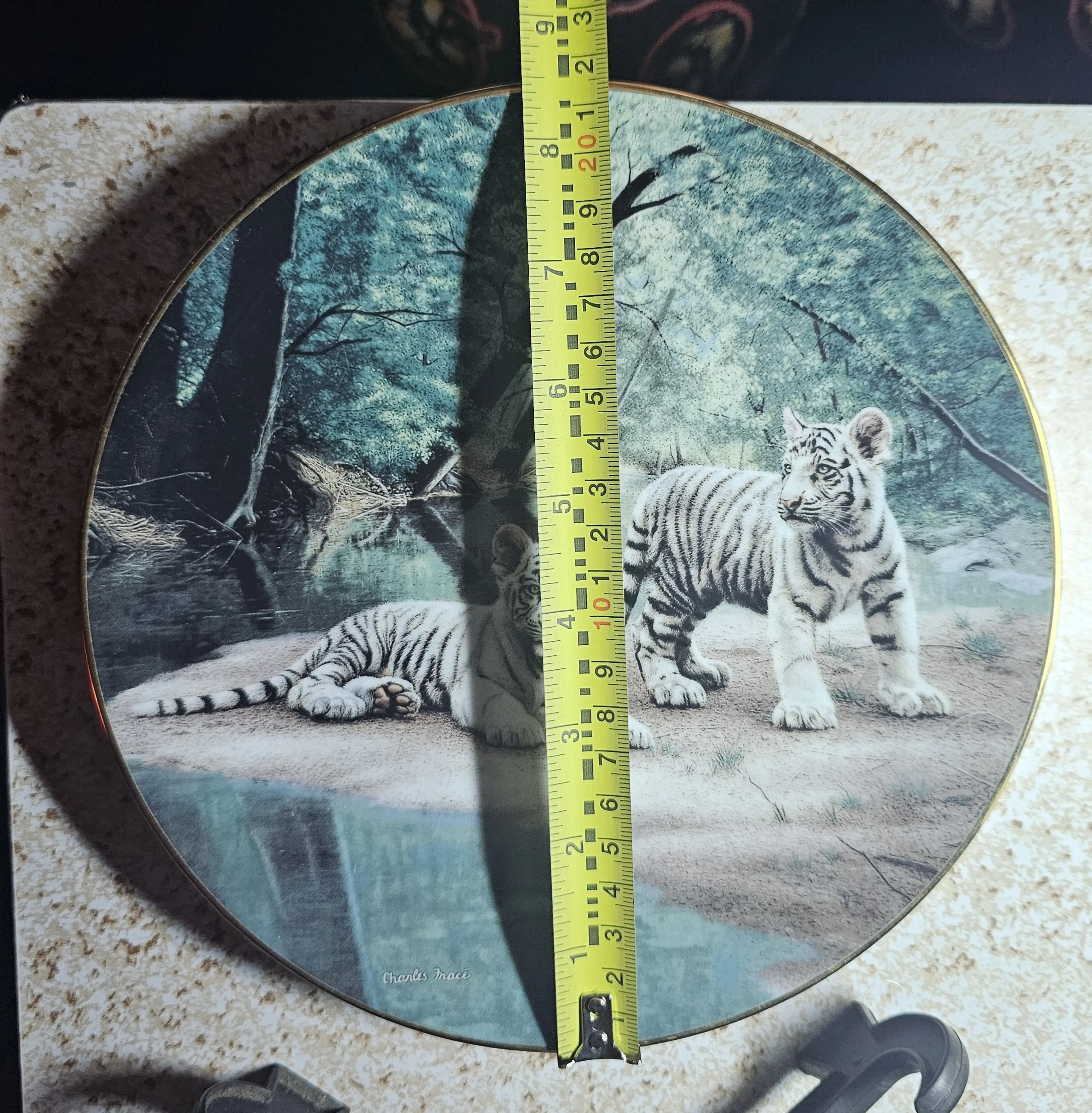 Image 3 of 5