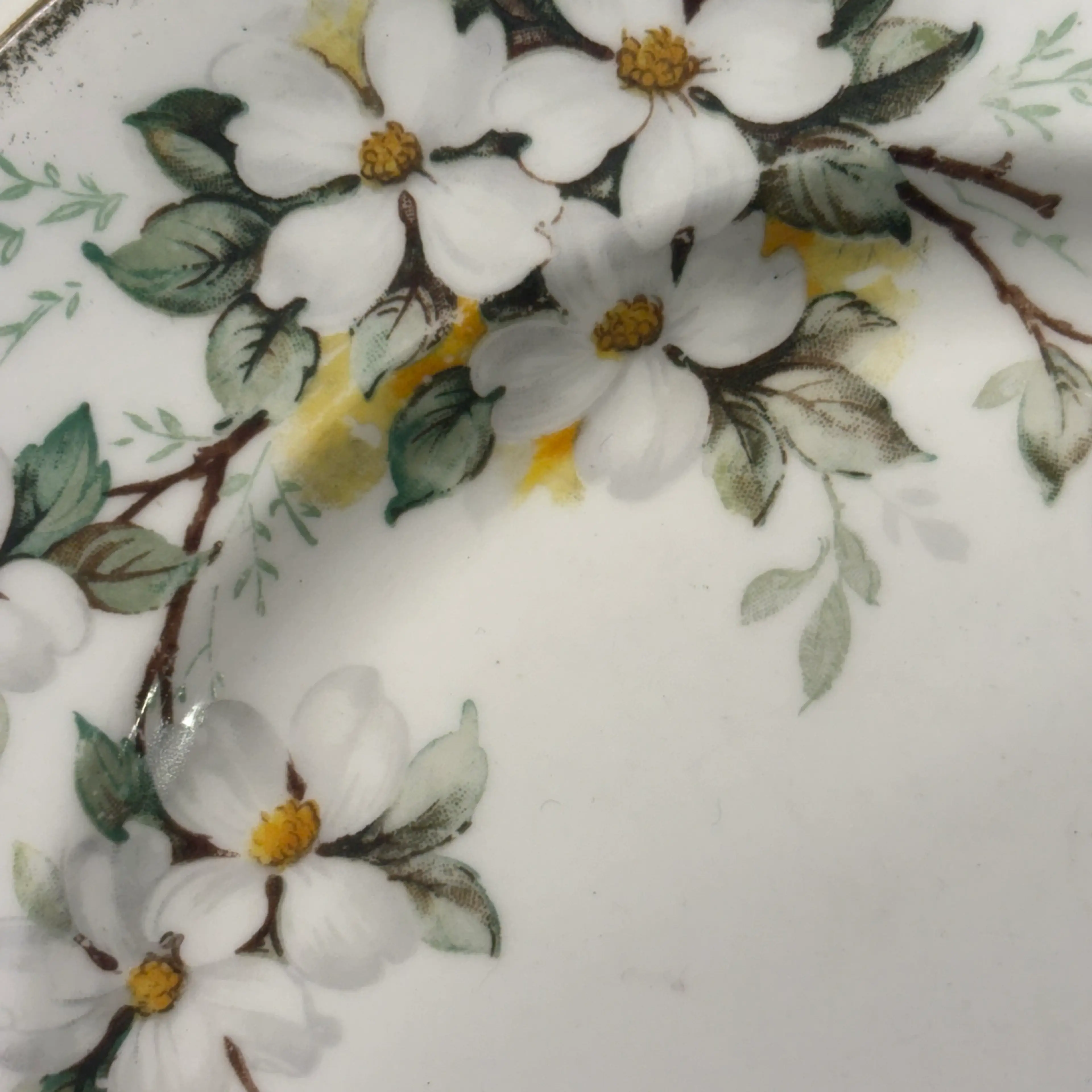 Image 4 of 7