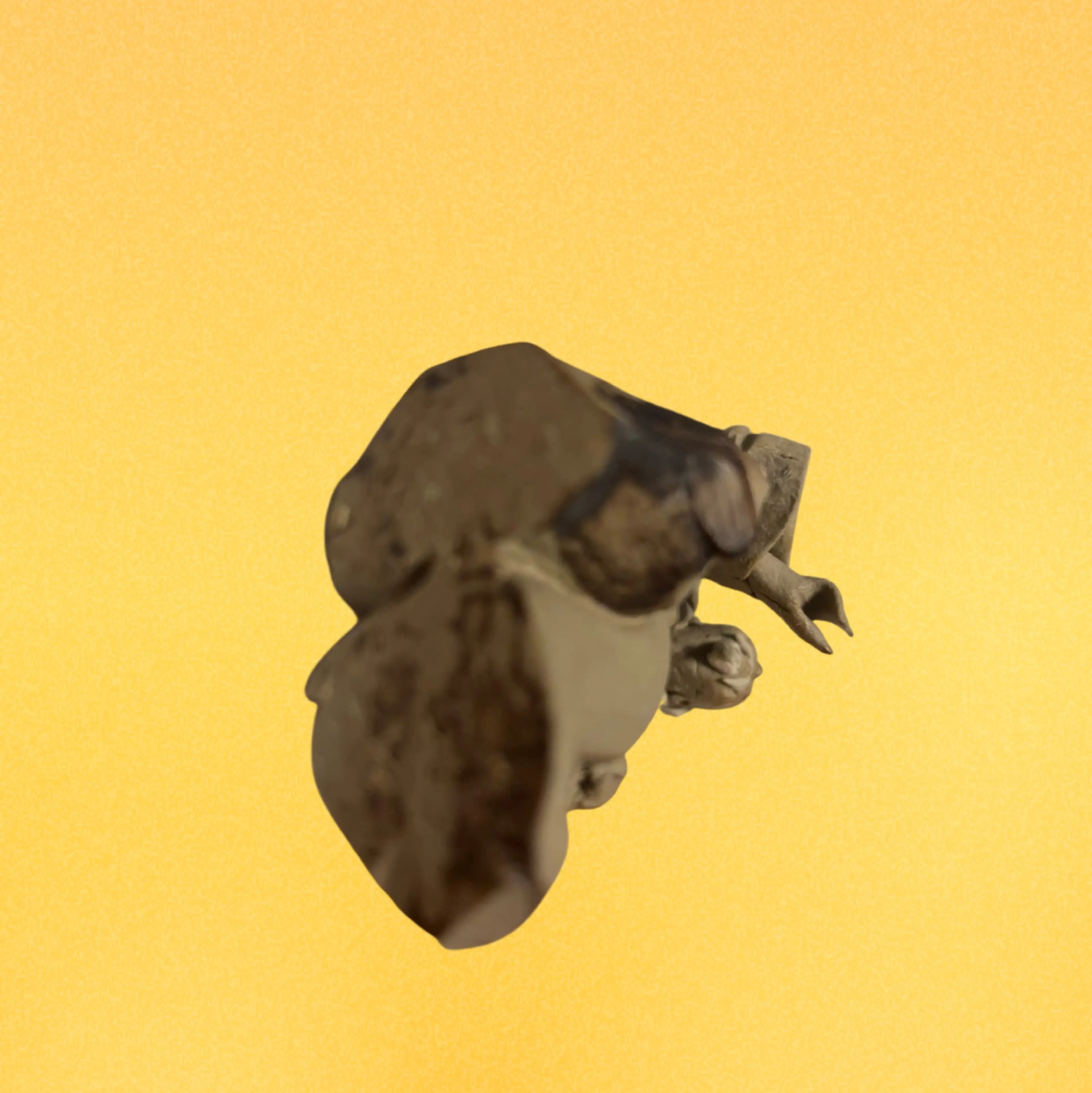 Image 4 of 4