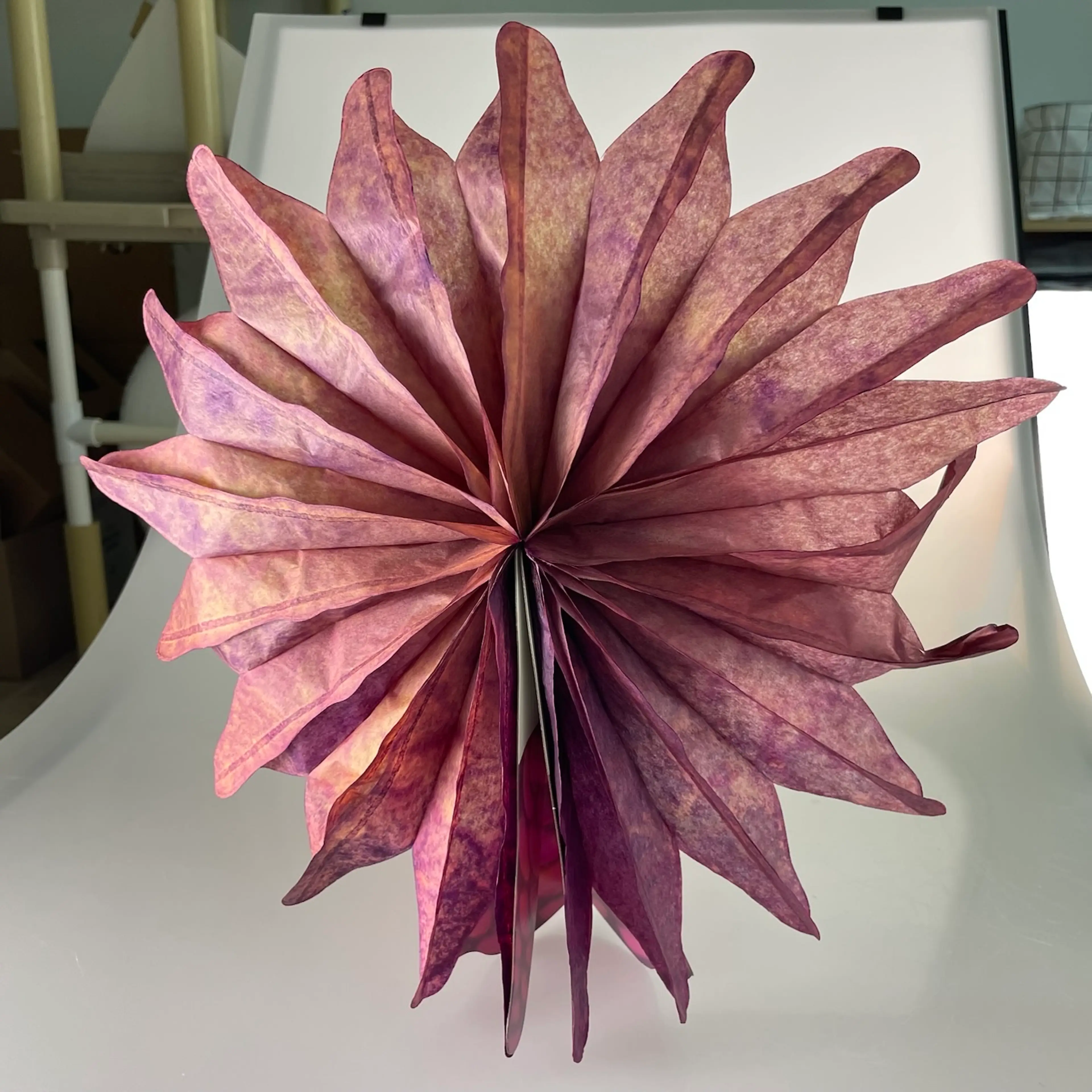 Image 4 of 12