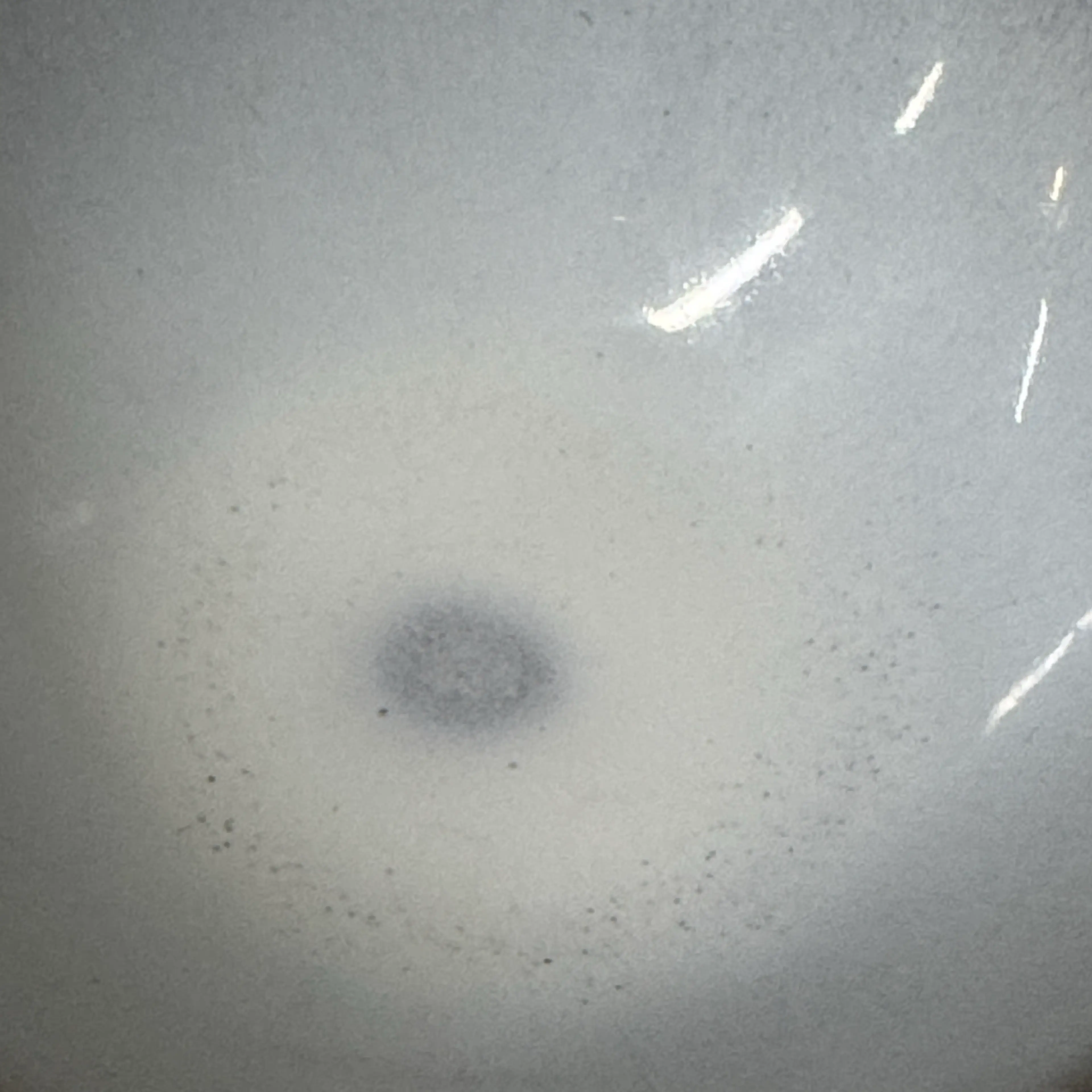 Image 4 of 12