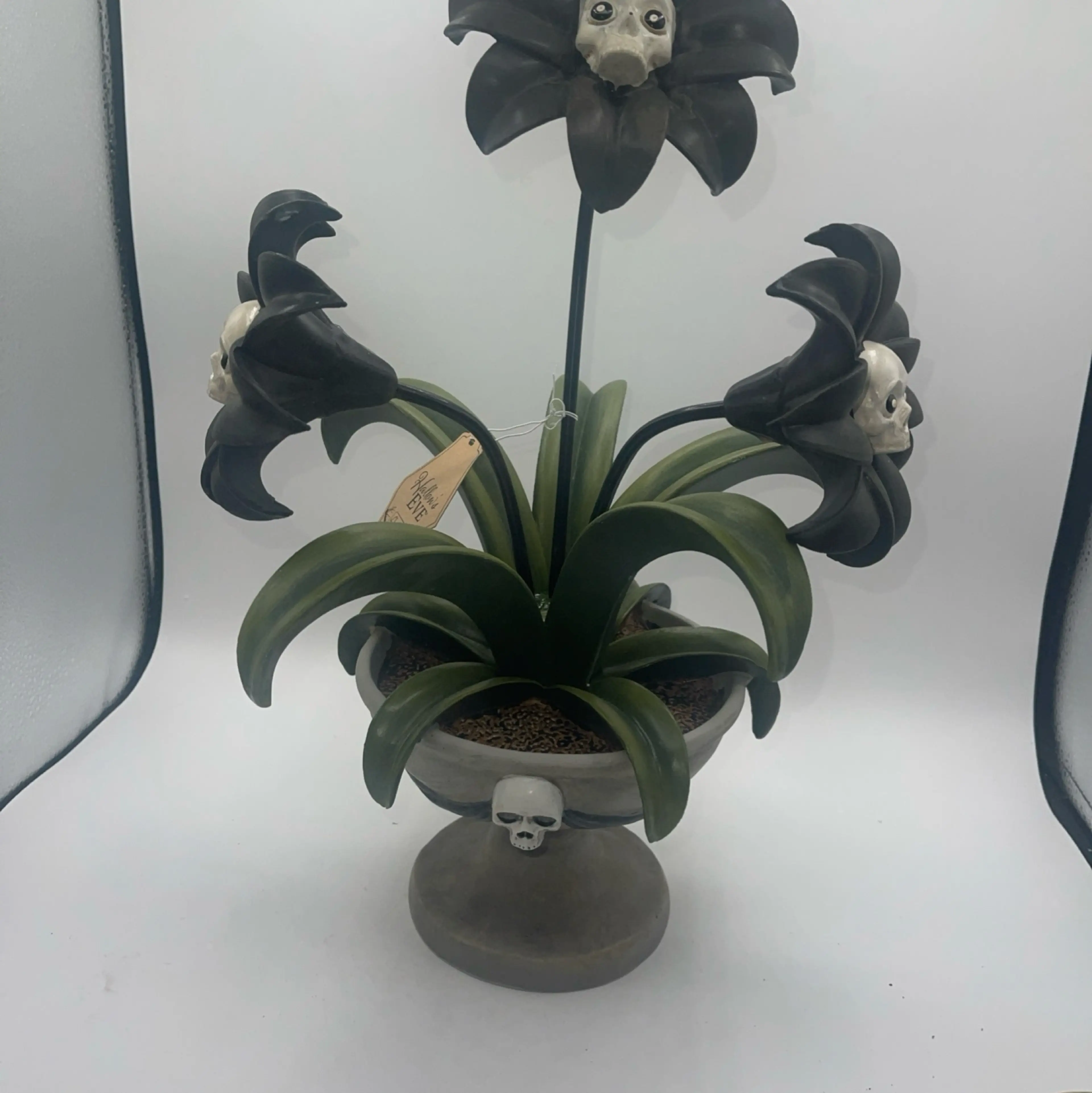 Image 2 of 10