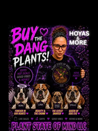 Philos Hoyas & Randoms 