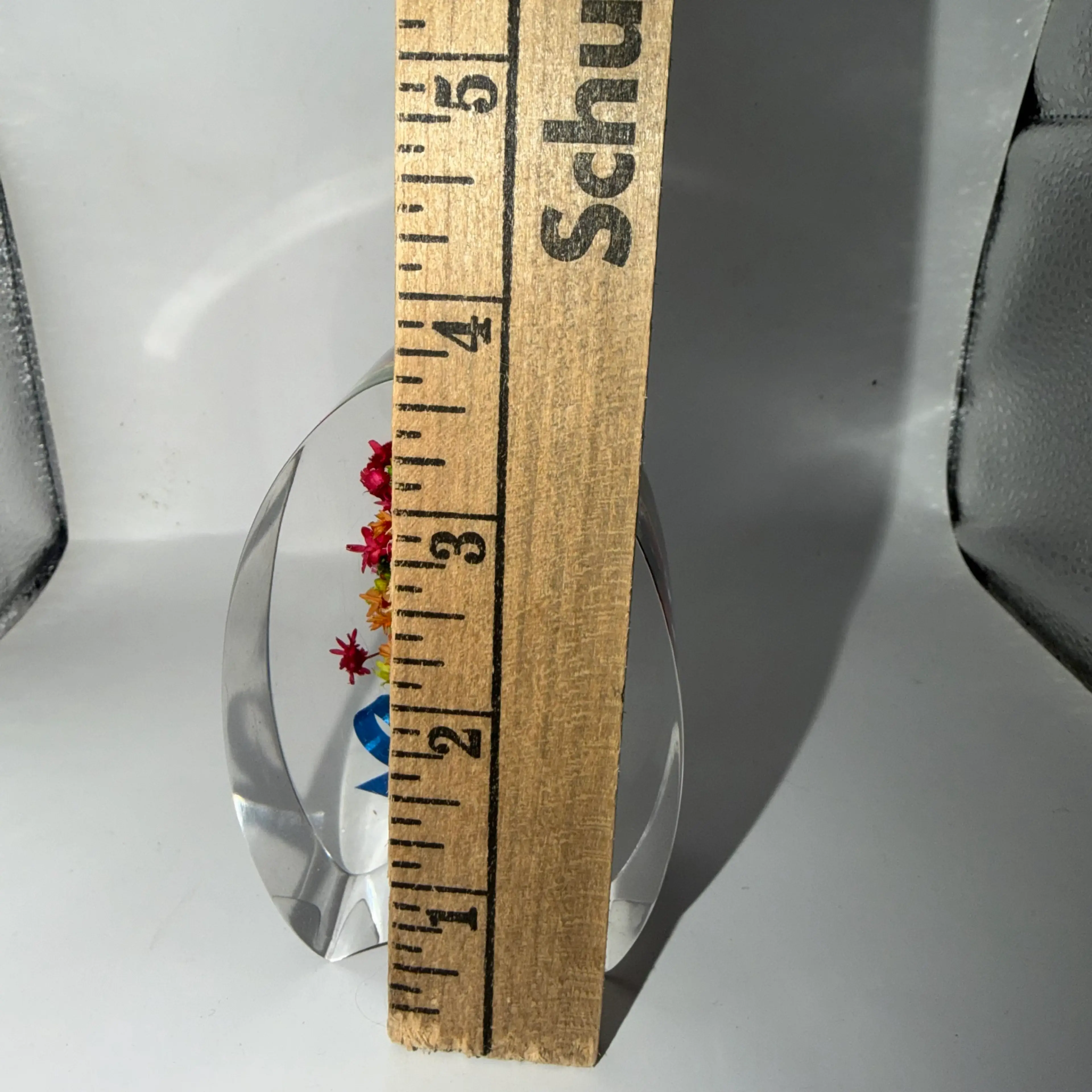 Image 5 of 5