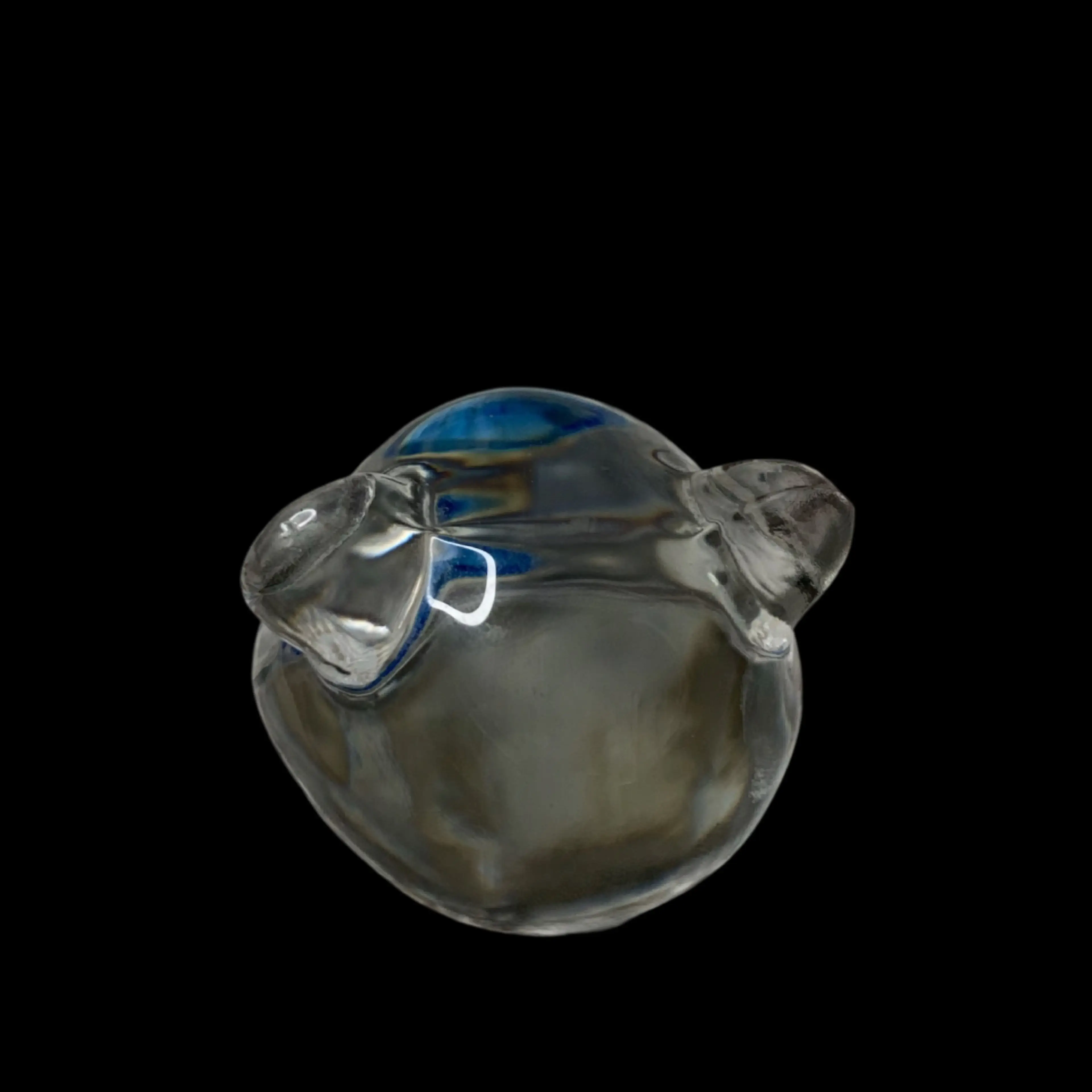 Image 5 of 8