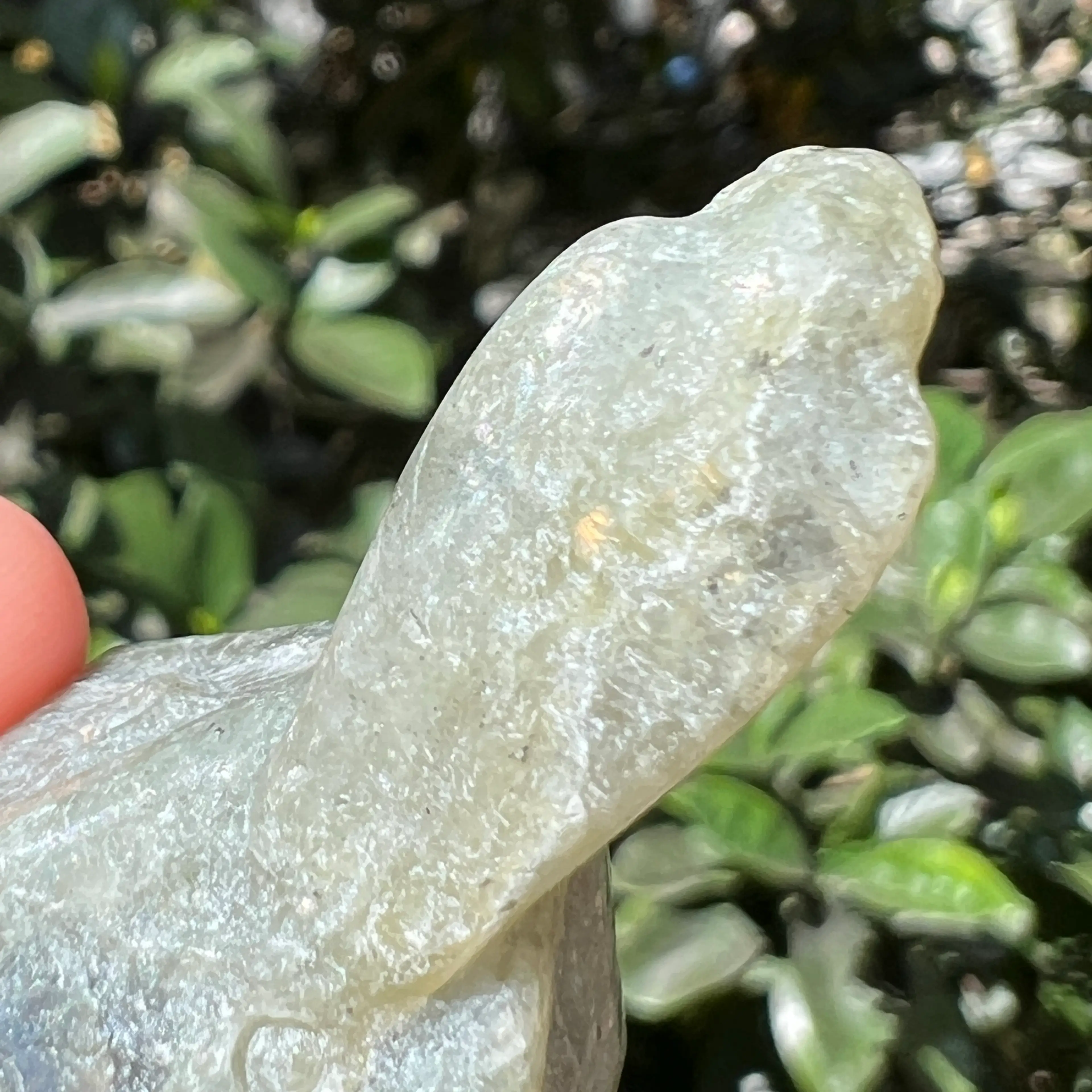 Image 5 of 14