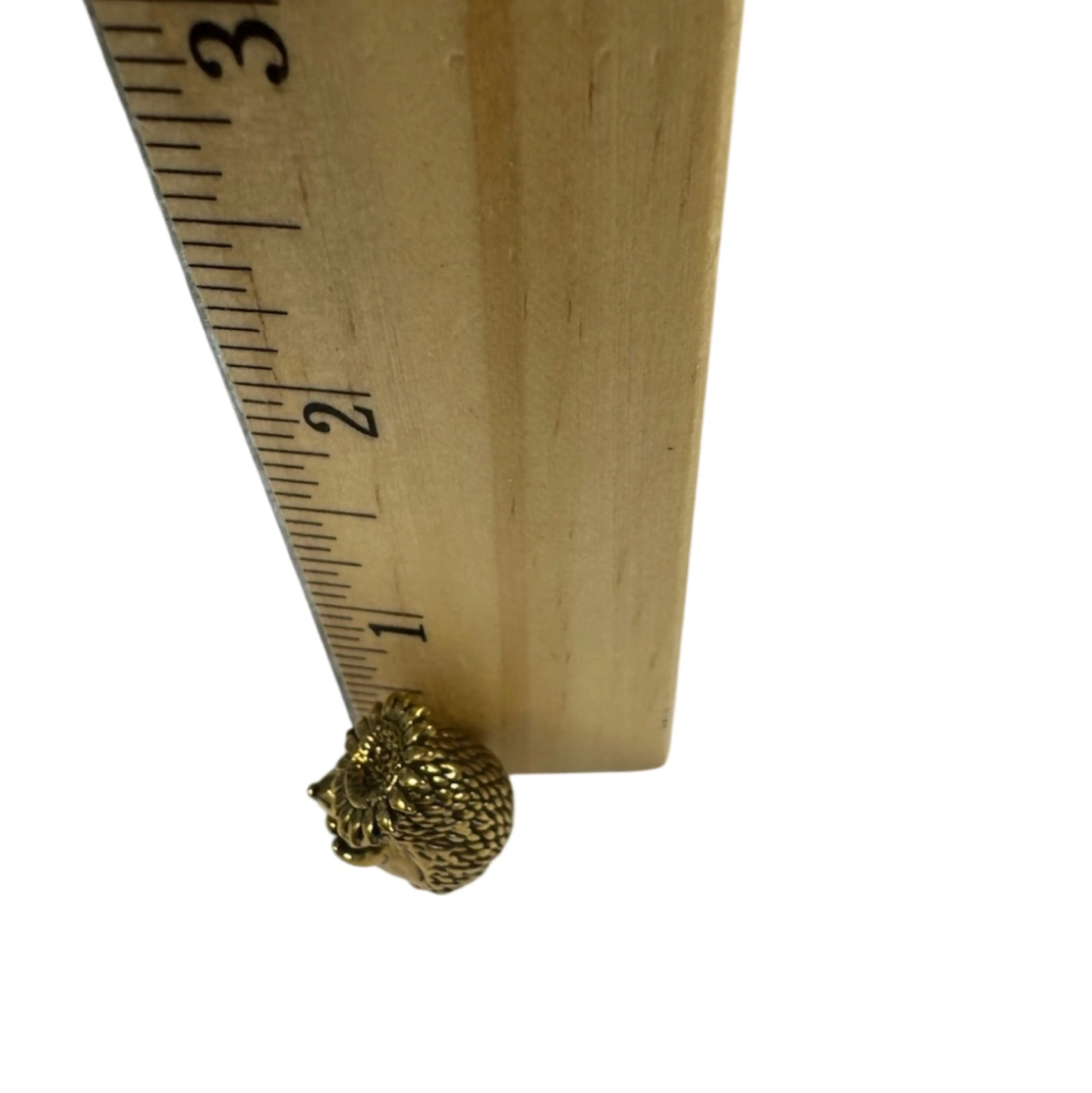 Image 5 of 5