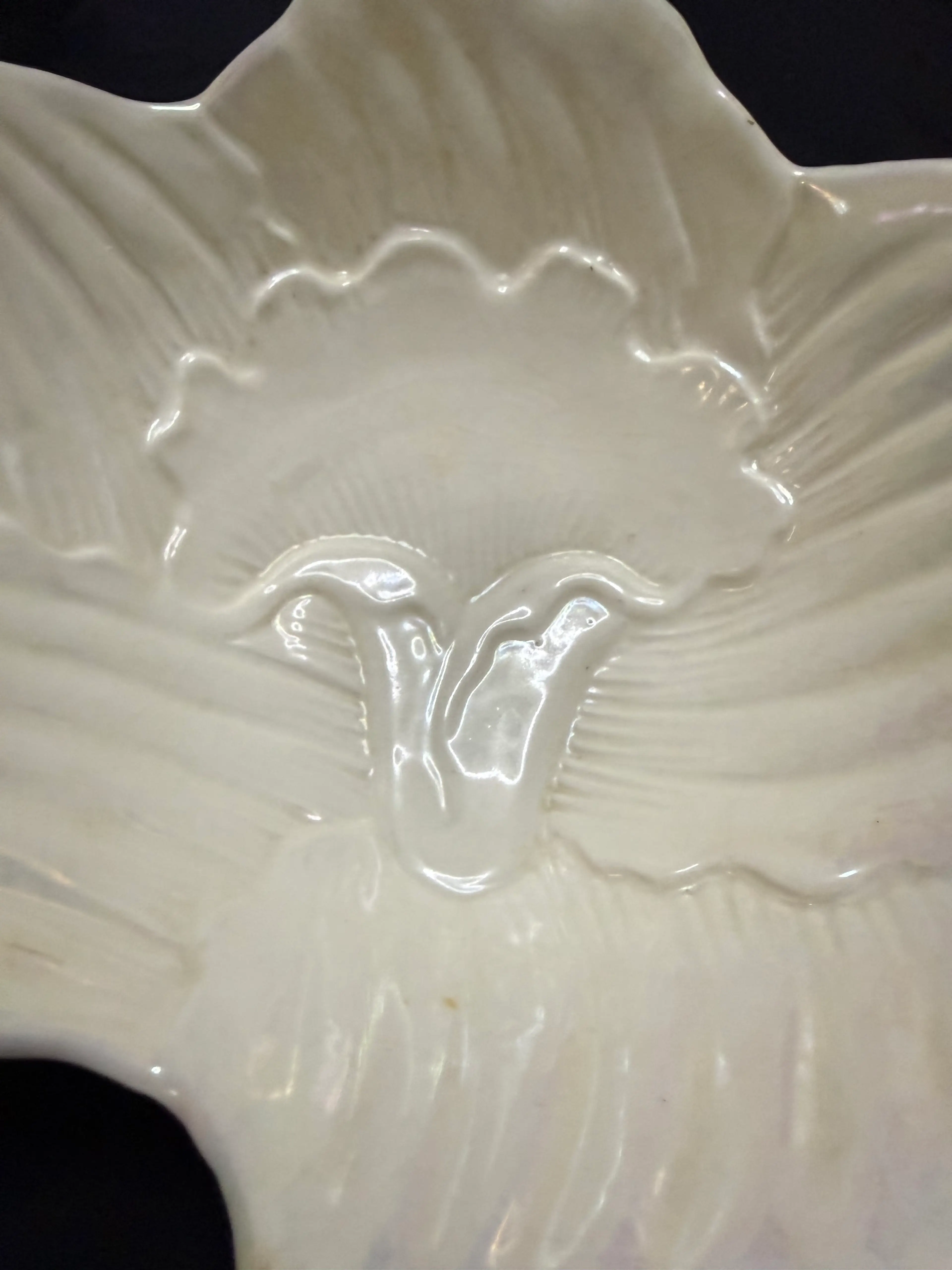 Image 2 of 12