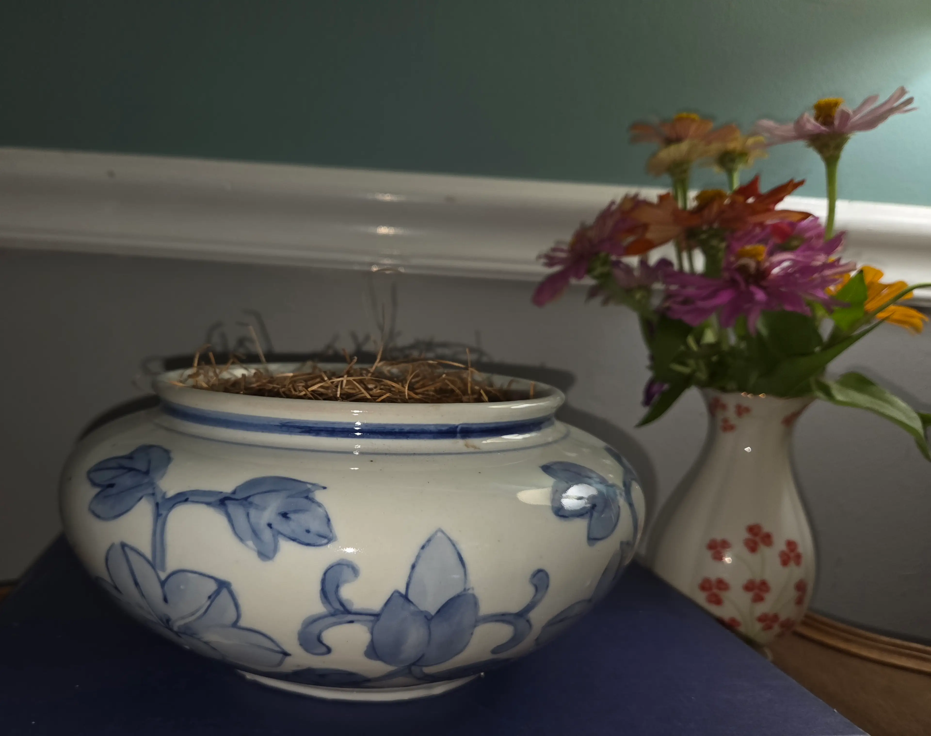Image 2 of 5