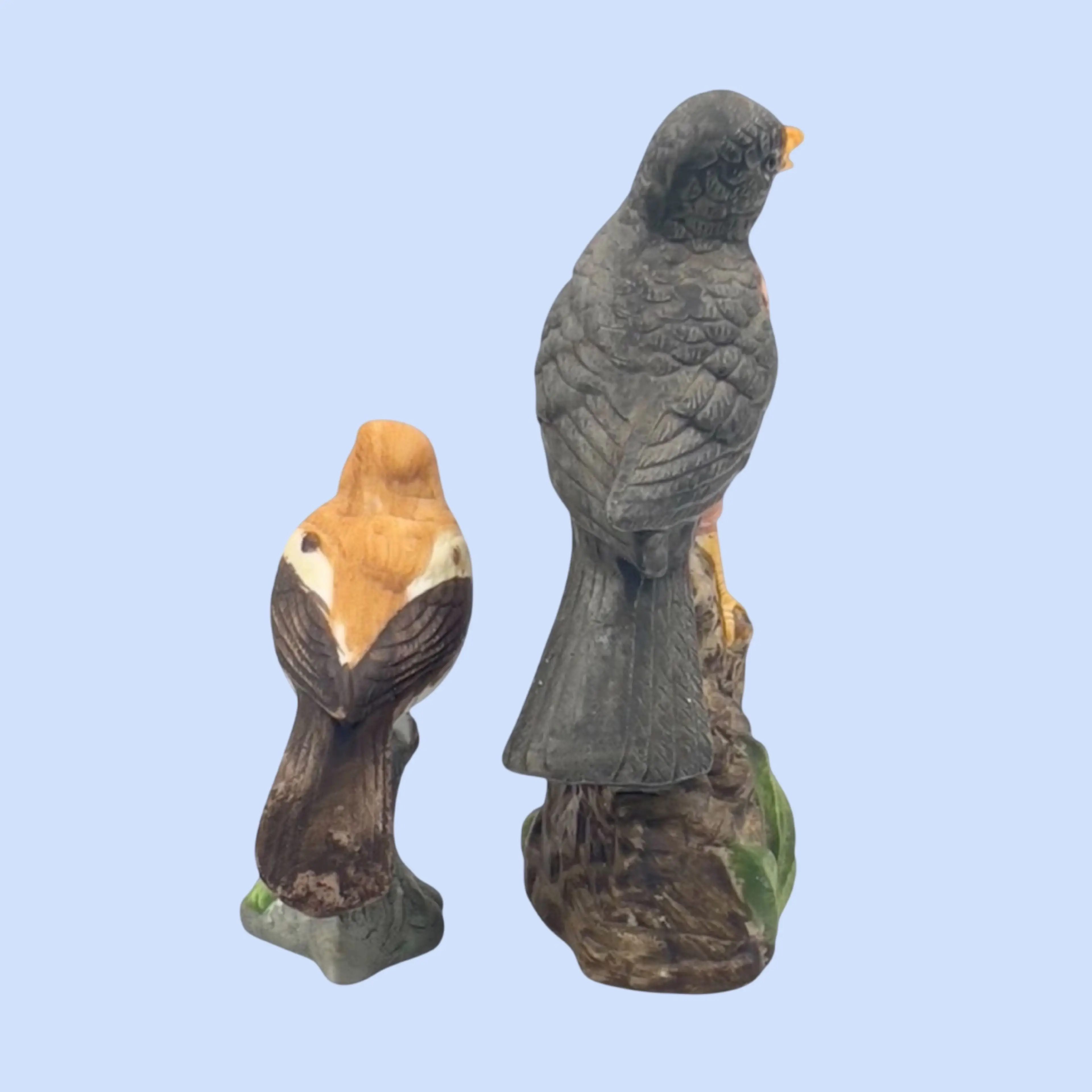Image 2 of 8