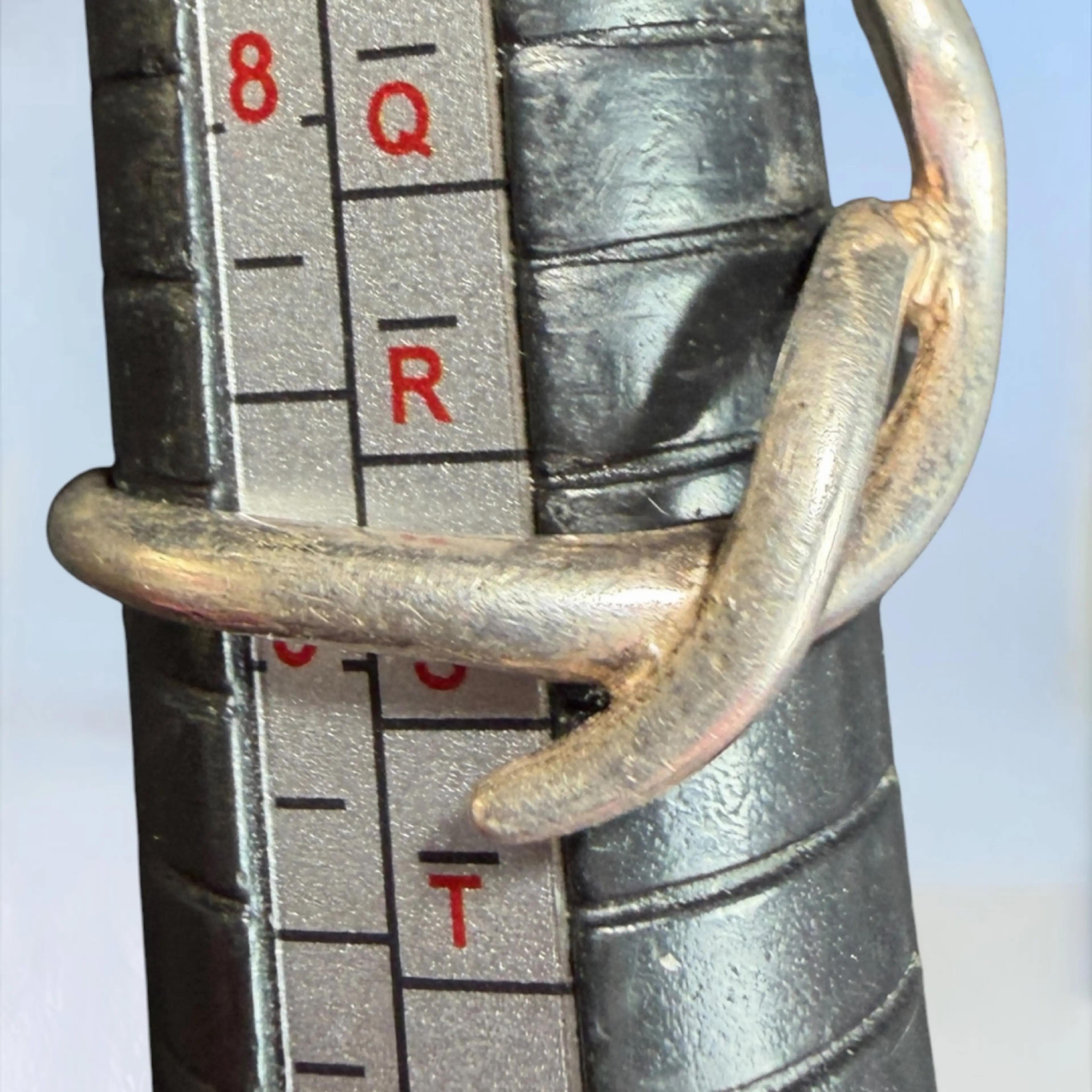 Image 4 of 4