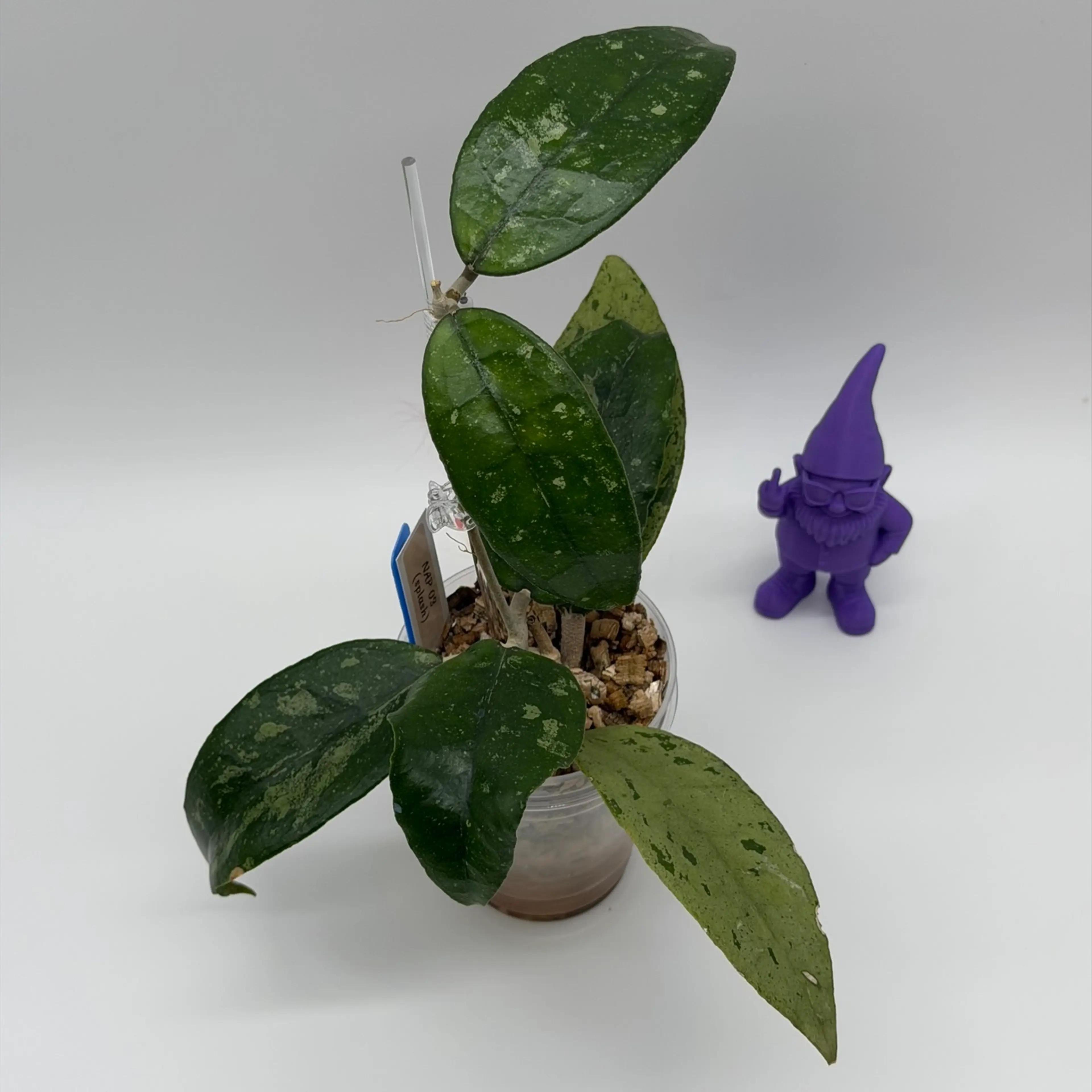 Image 3 of 4