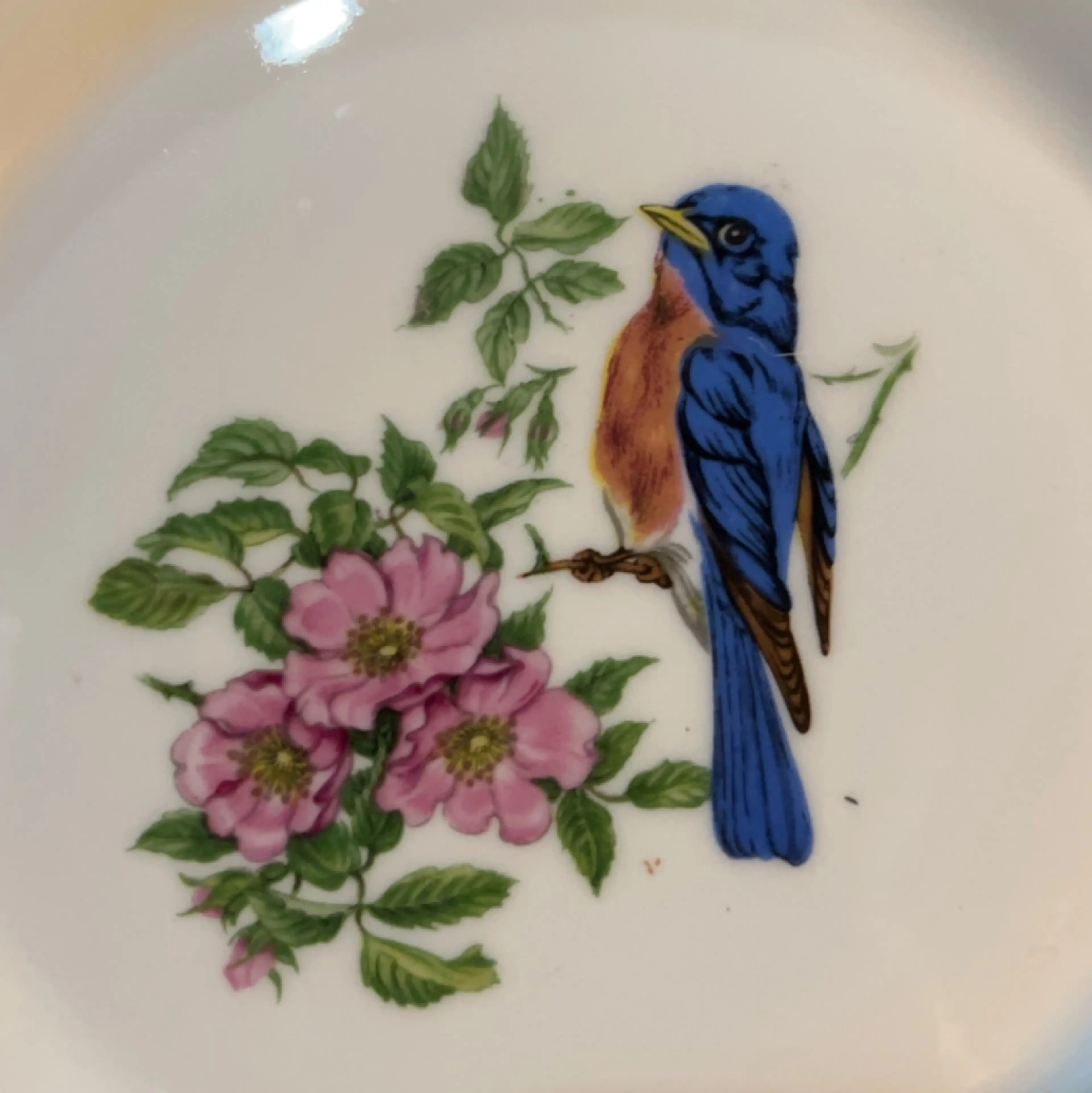 Image 3 of 5